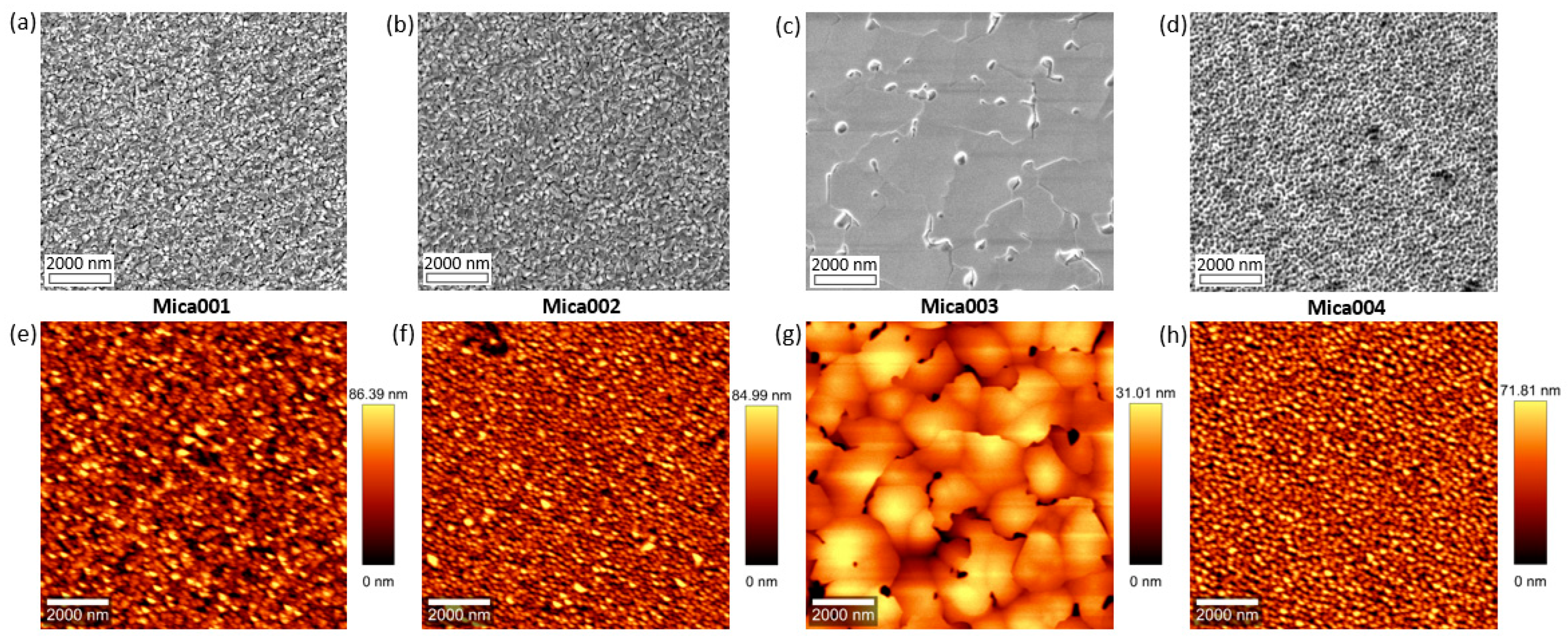 Molecules 29 03947 g002 Molecules 29 03947 g002