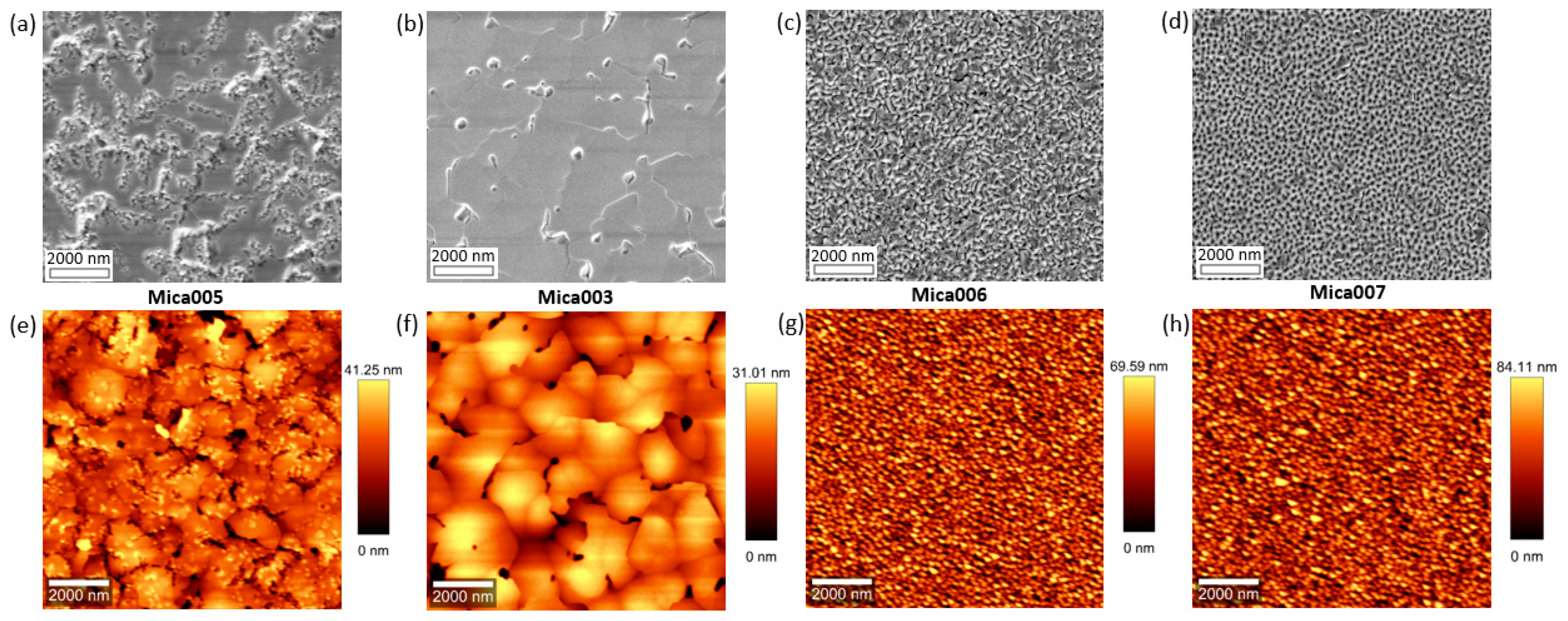 Molecules 29 03947 g004 Molecules 29 03947 g004