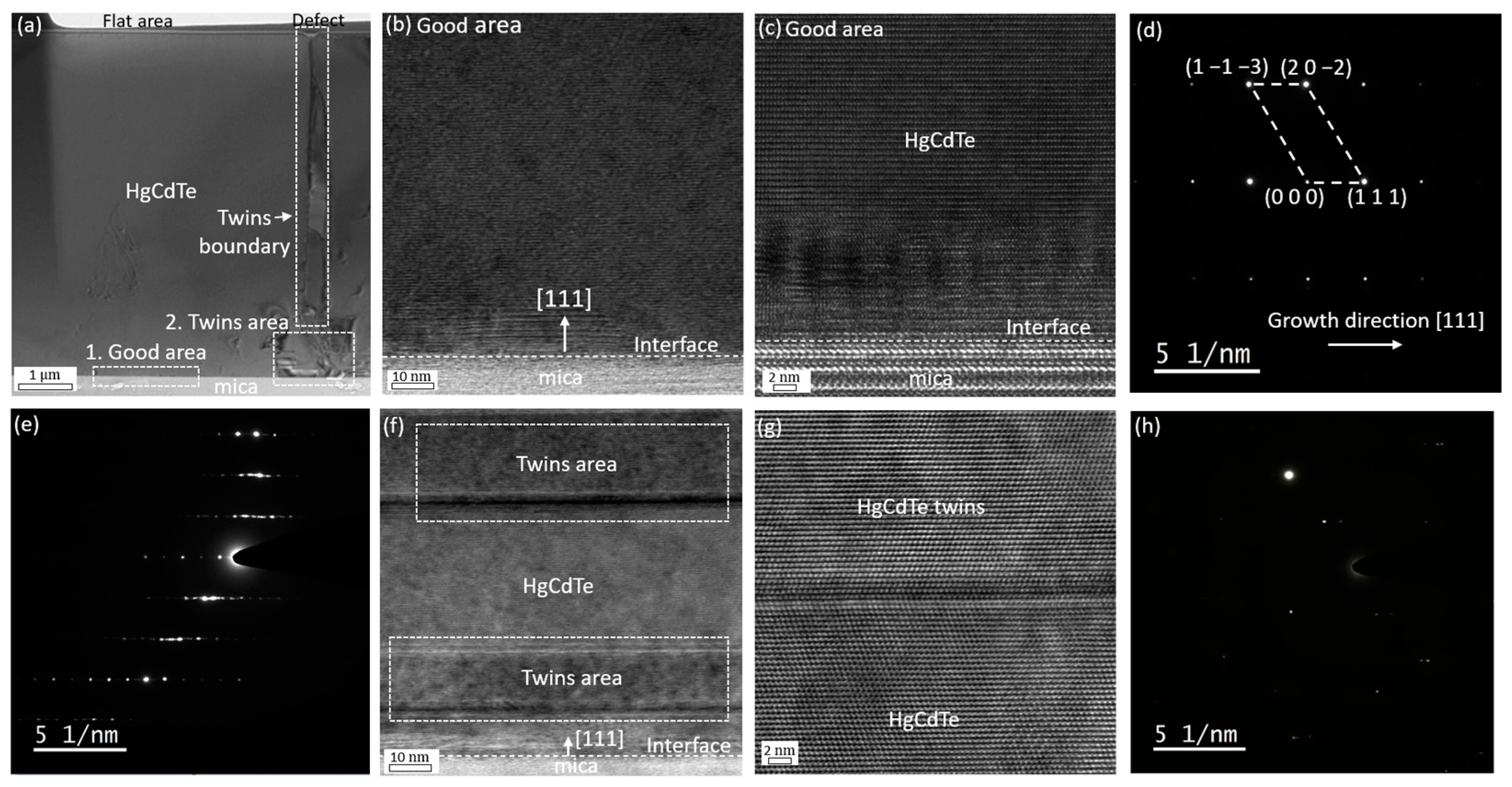 Molecules 29 03947 g005 Molecules 29 03947 g005
