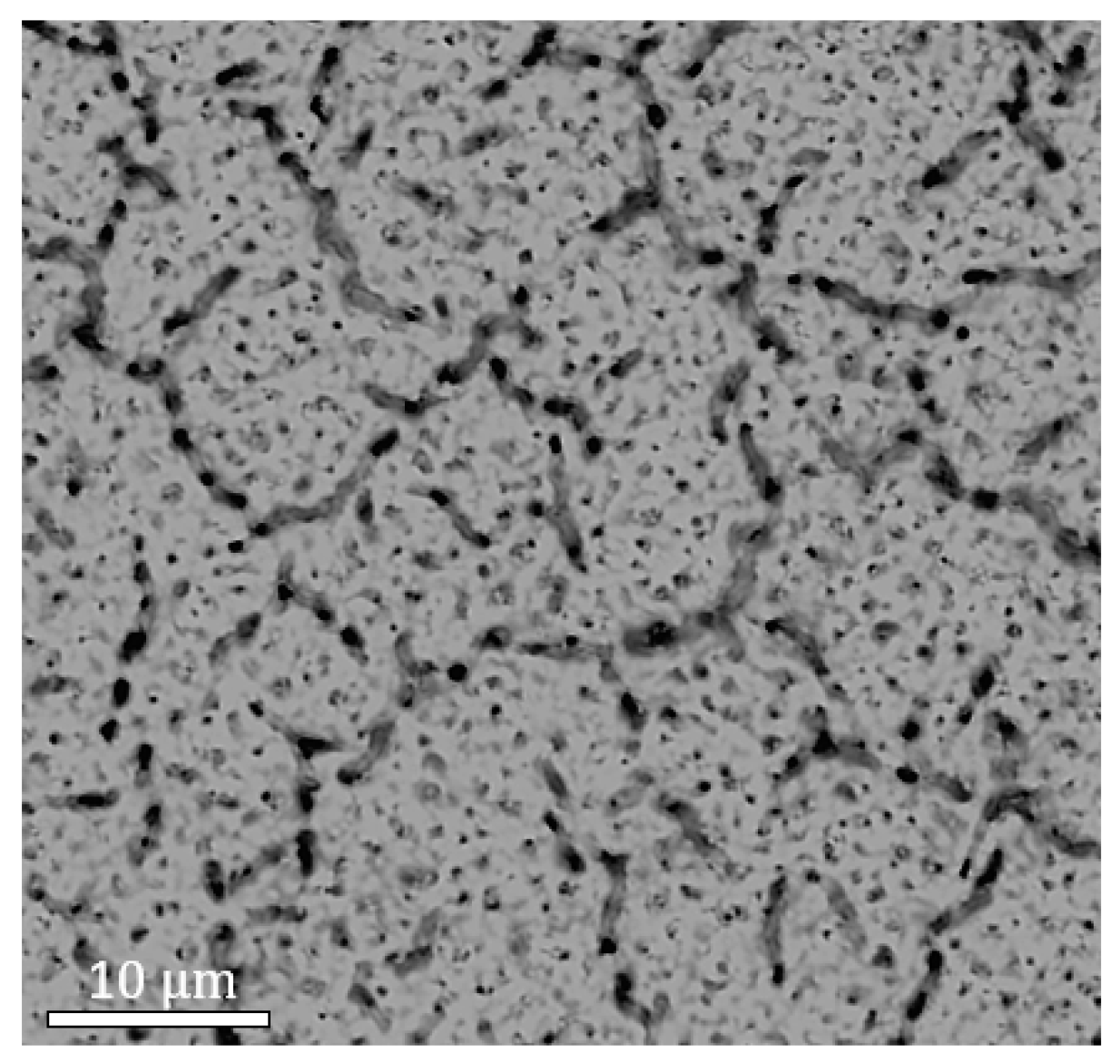 Molecules 29 03947 g007 Molecules 29 03947 g007