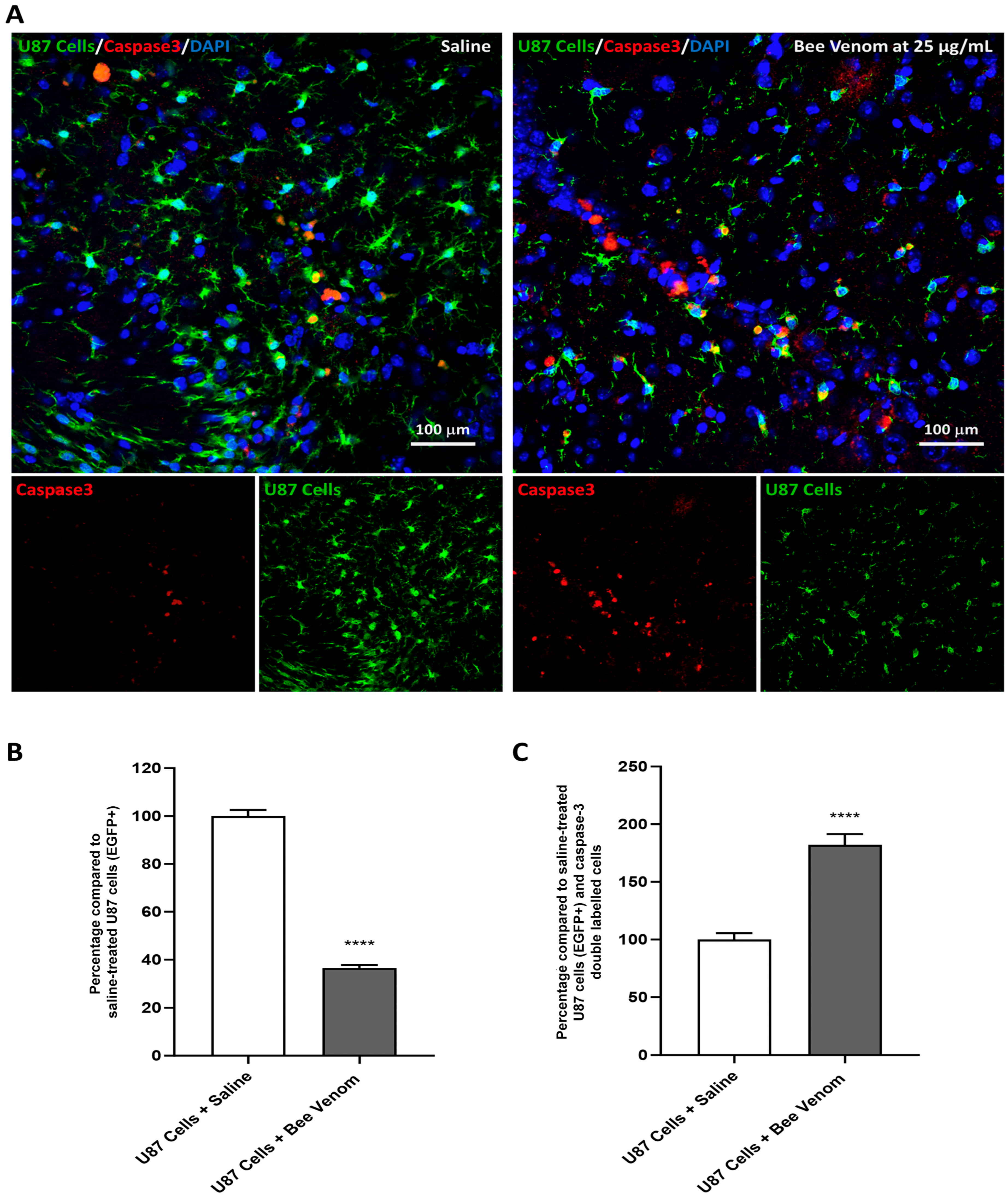 Molecules 29 03950 g004