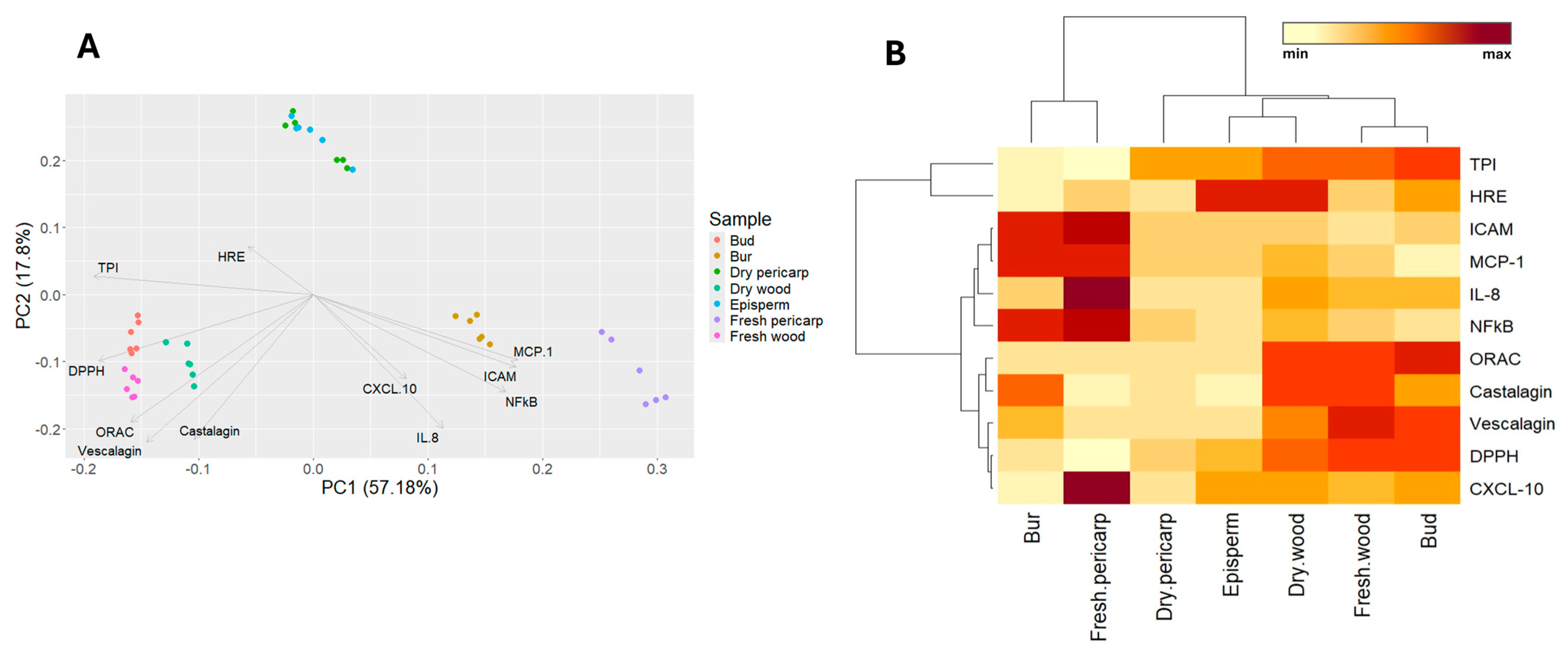 Molecules 29 03951 g003