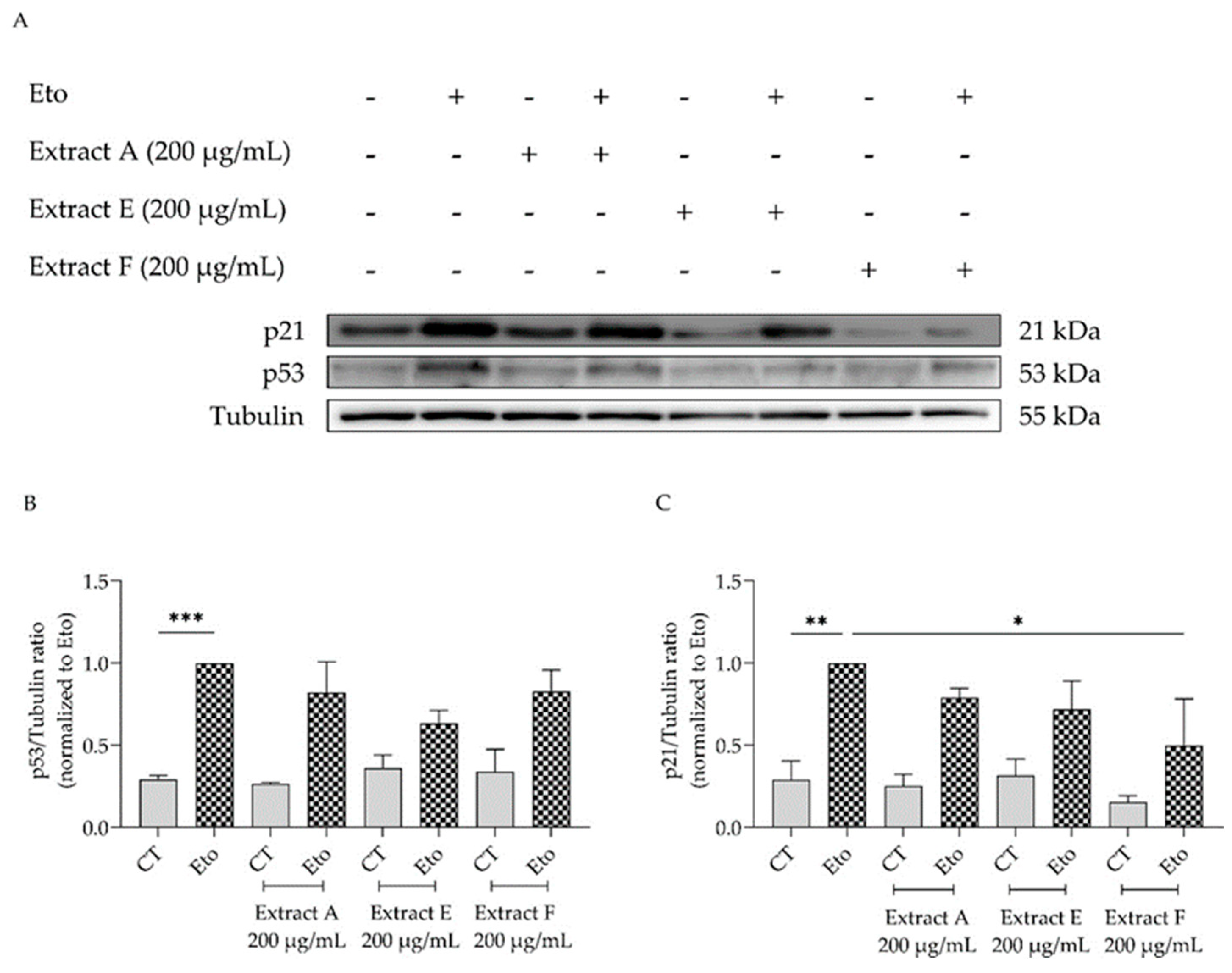 Molecules 29 03960 g006