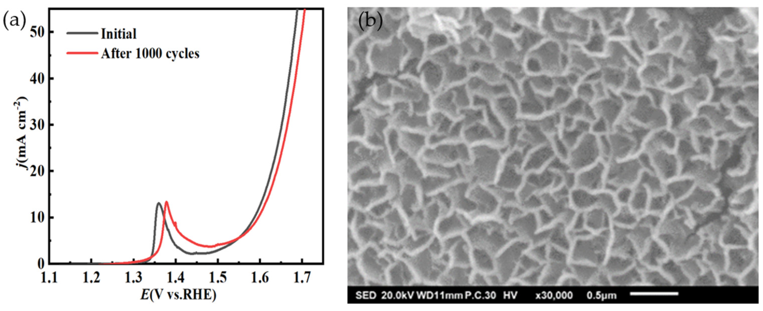Molecules 29 03966 g010