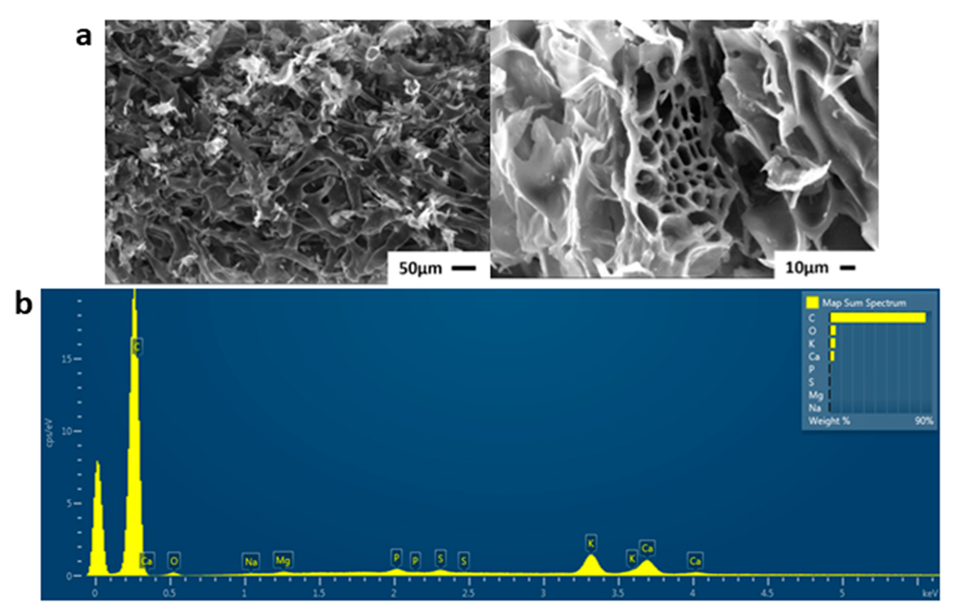 Molecules 29 03967 g006
