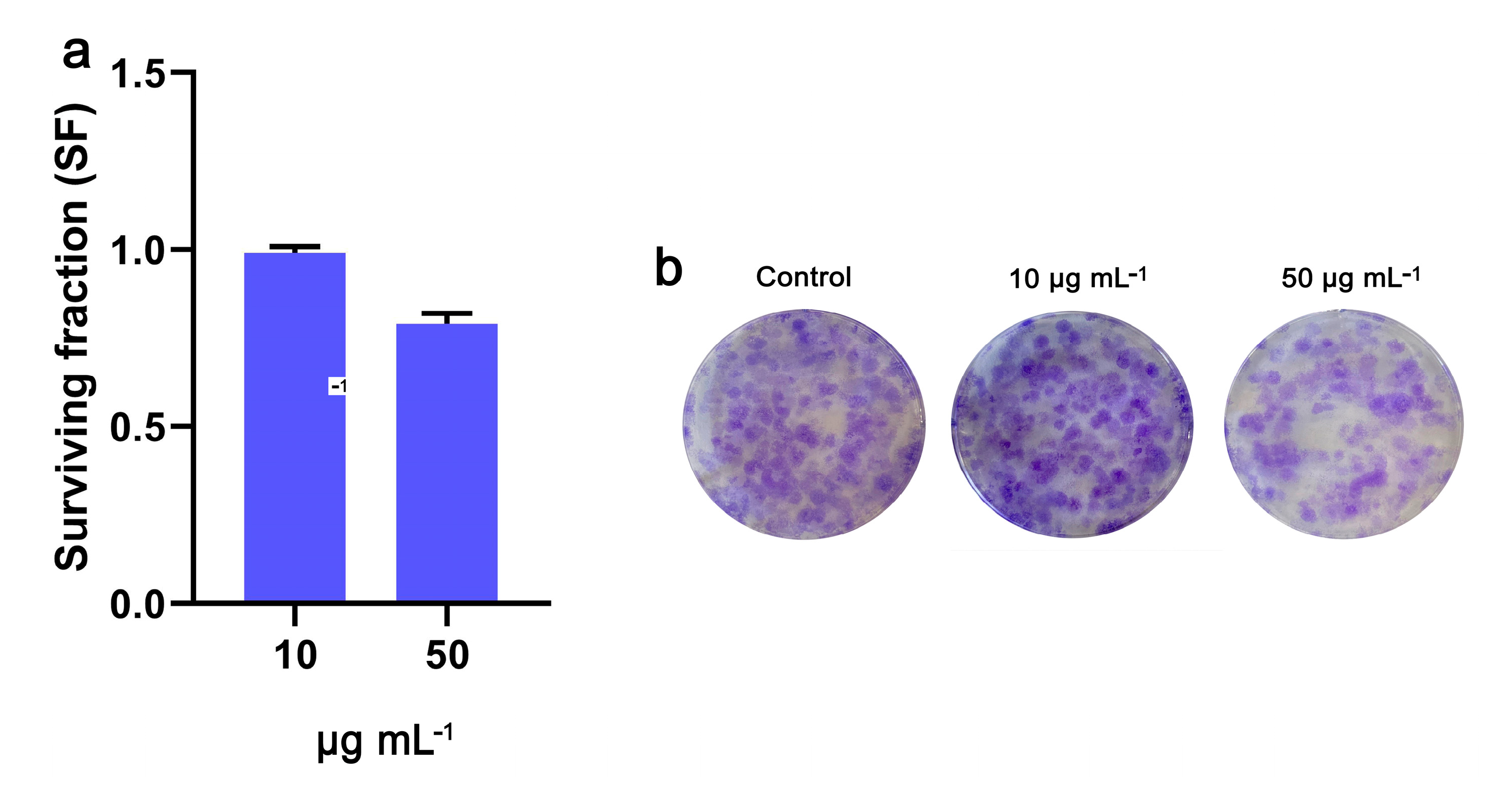 Molecules 29 03967 g008