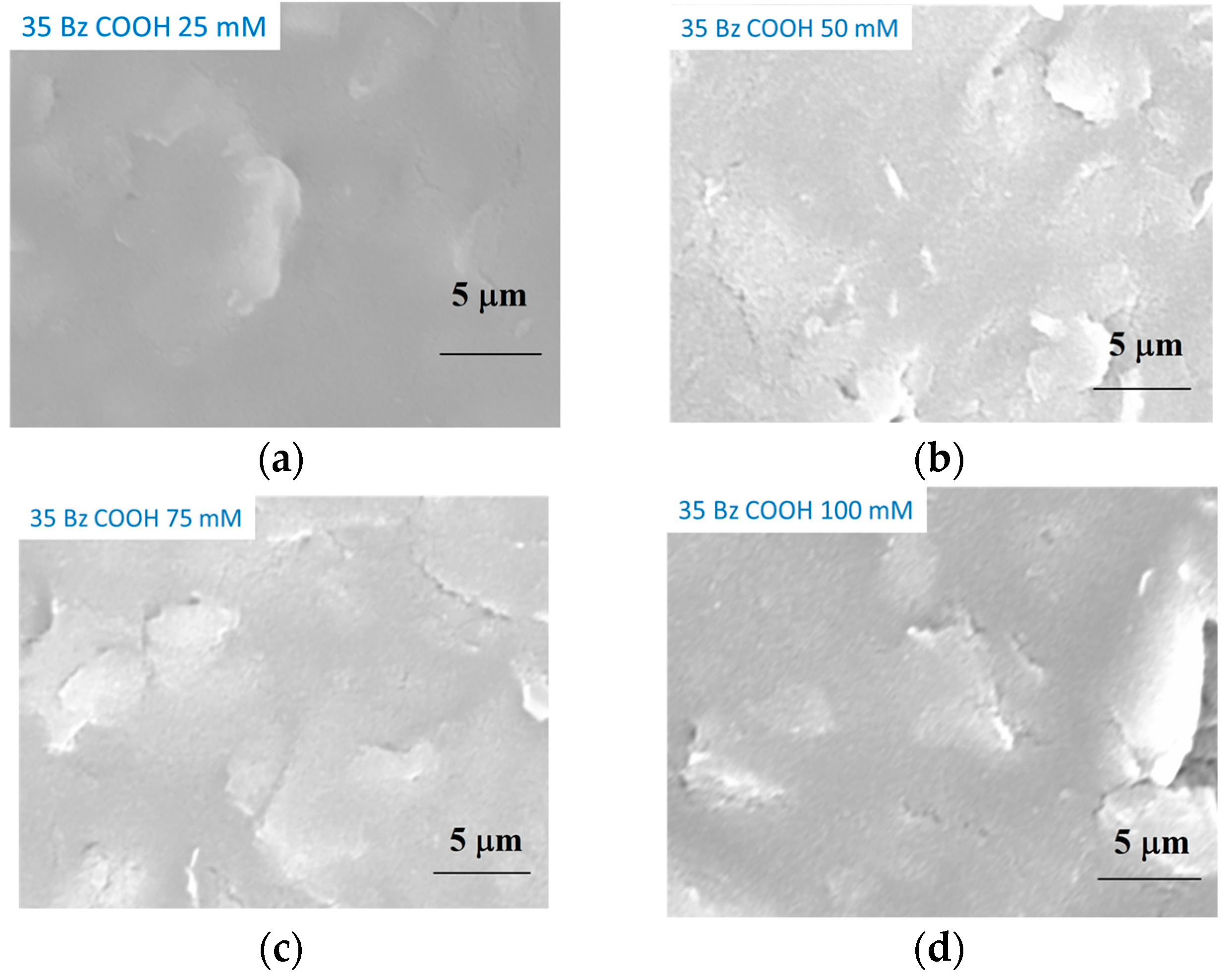Molecules 29 03972 g002a