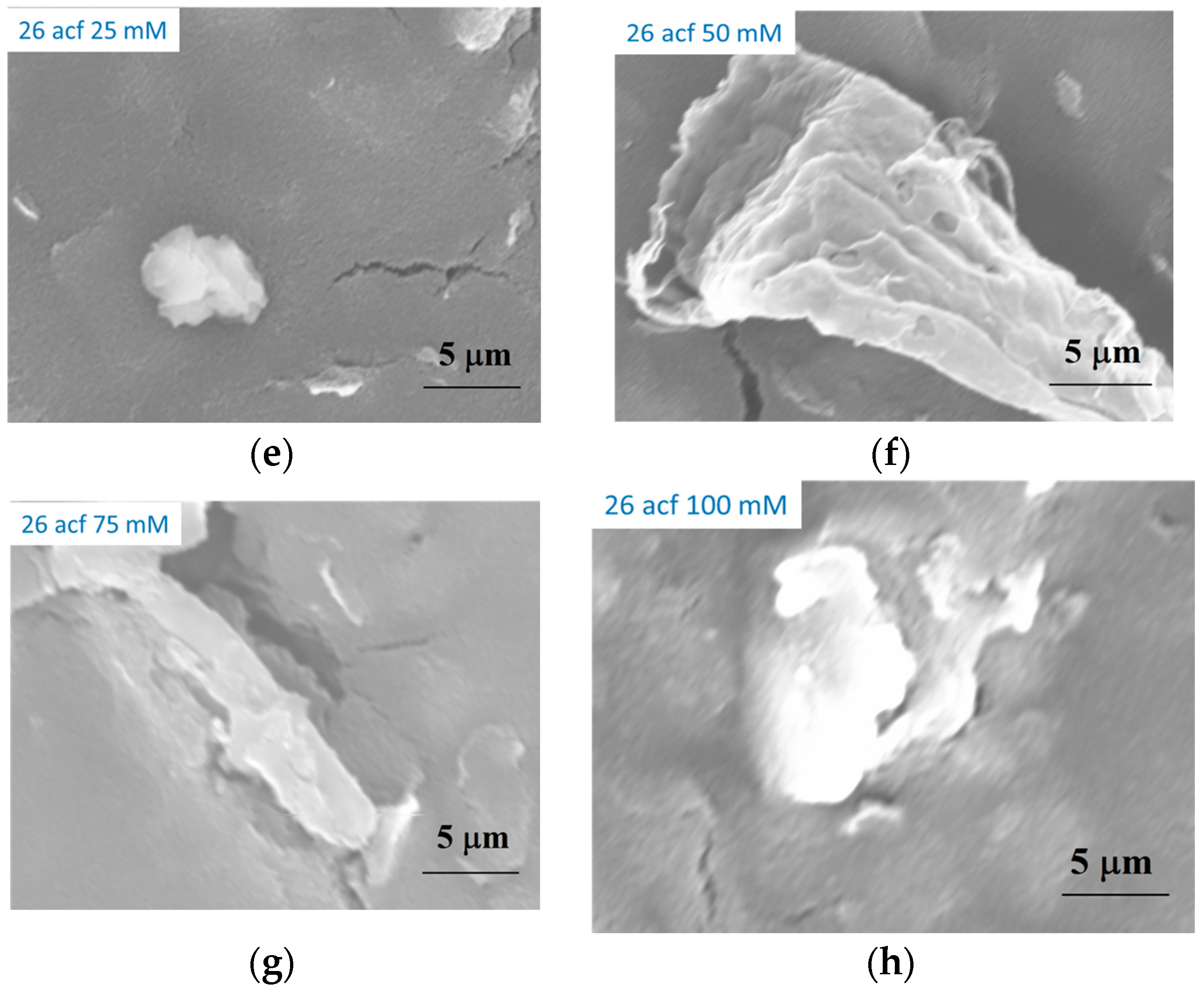 Molecules 29 03972 g002b