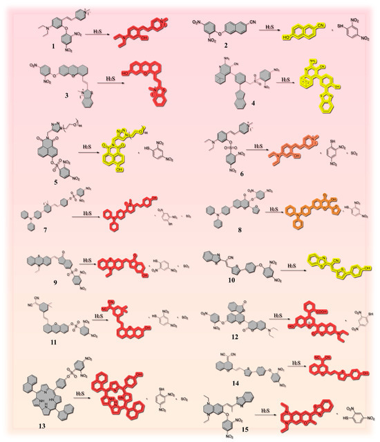 Molecules 29 03973 g002