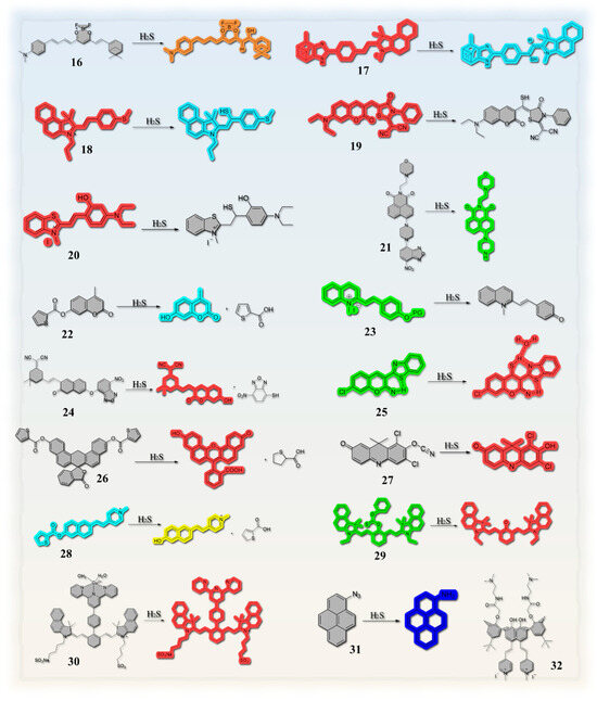 Molecules 29 03973 g003