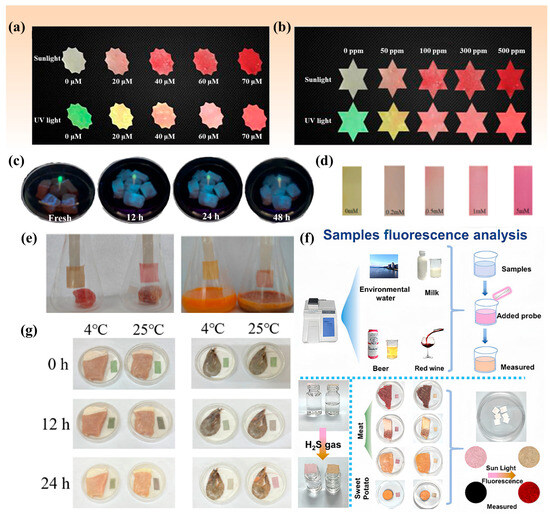 Molecules 29 03973 g005