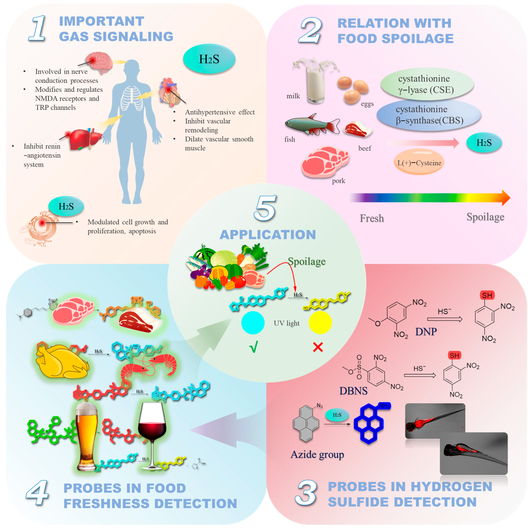 Molecules 29 03973 sch001