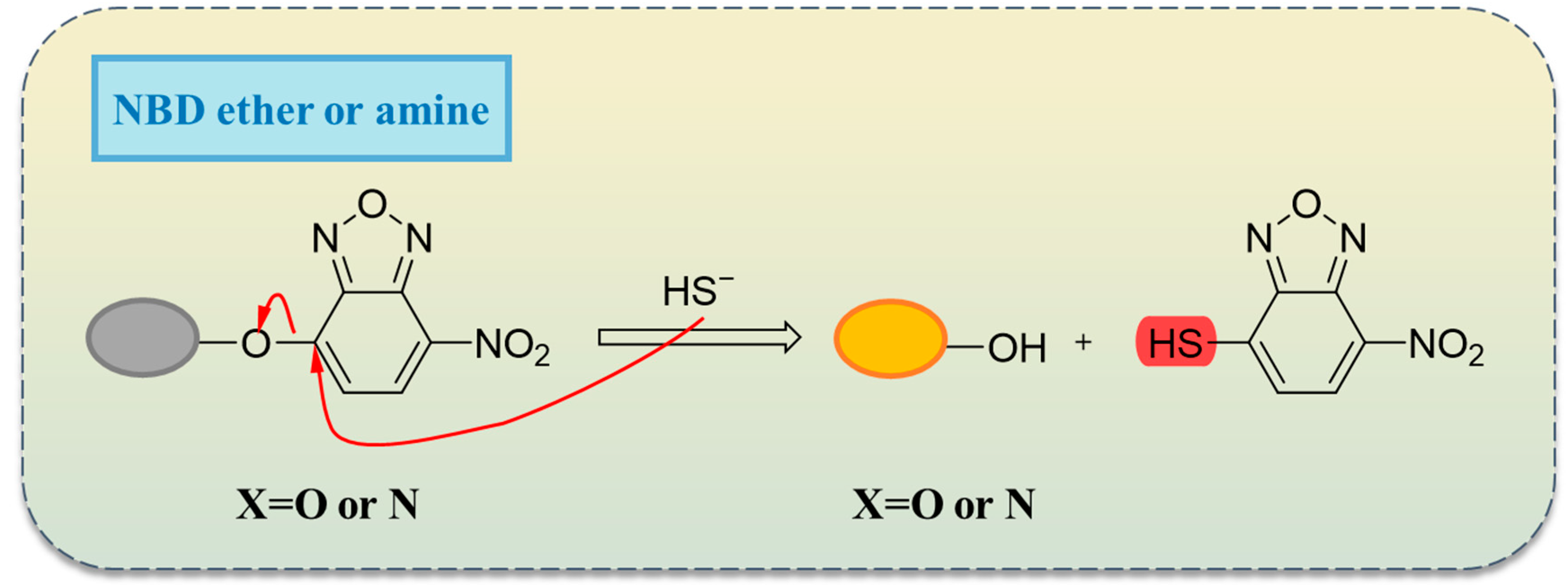 Molecules 29 03973 sch003