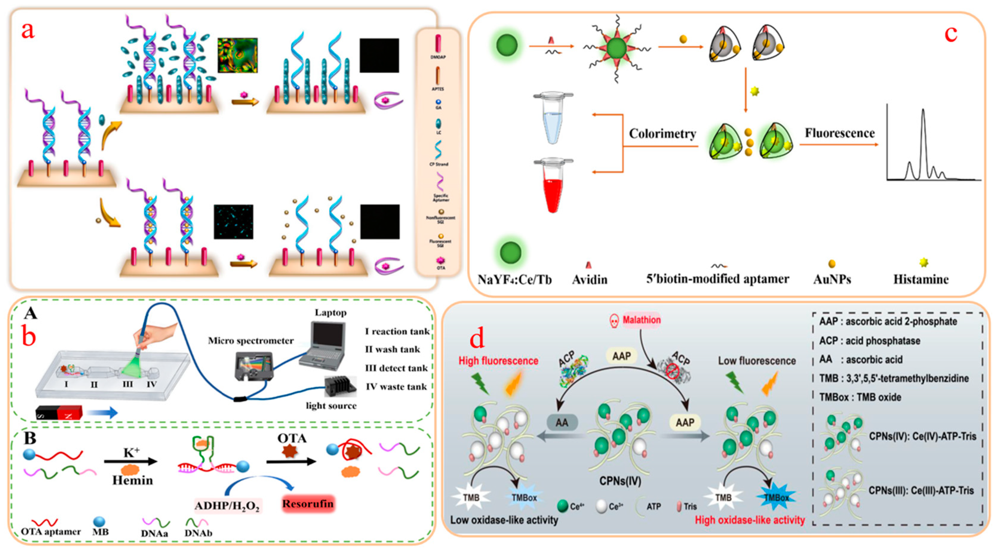 Molecules 29 03974 g002