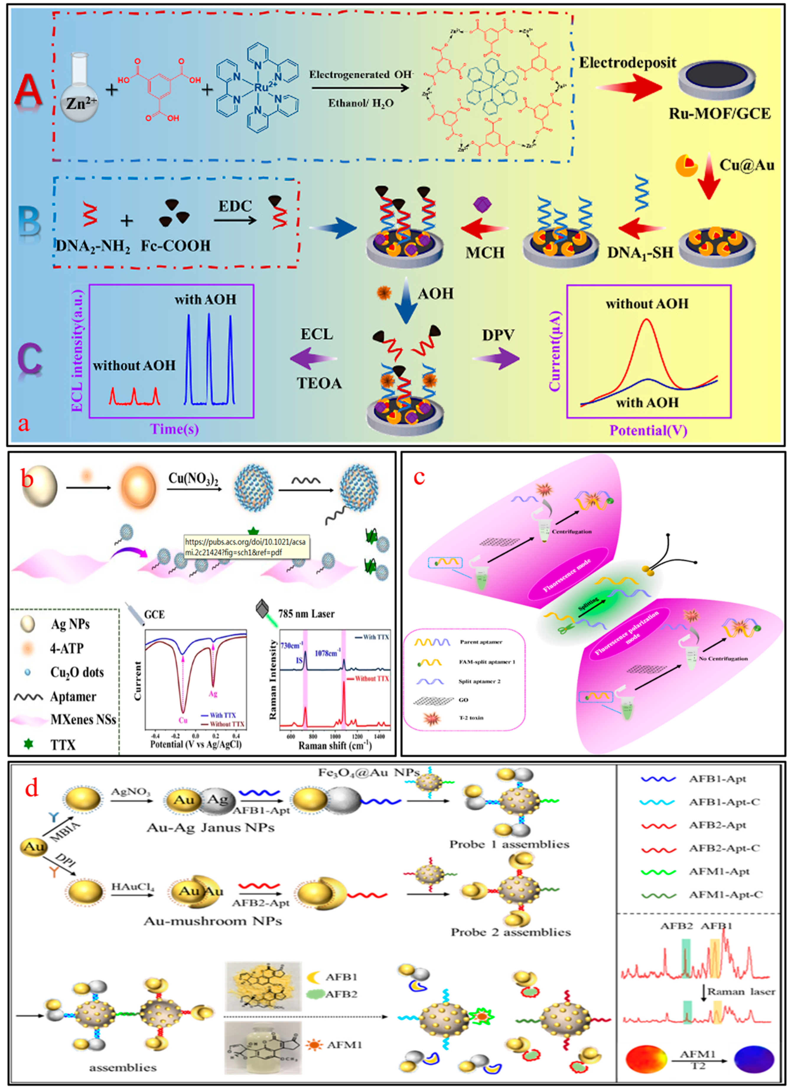 Molecules 29 03974 g005
