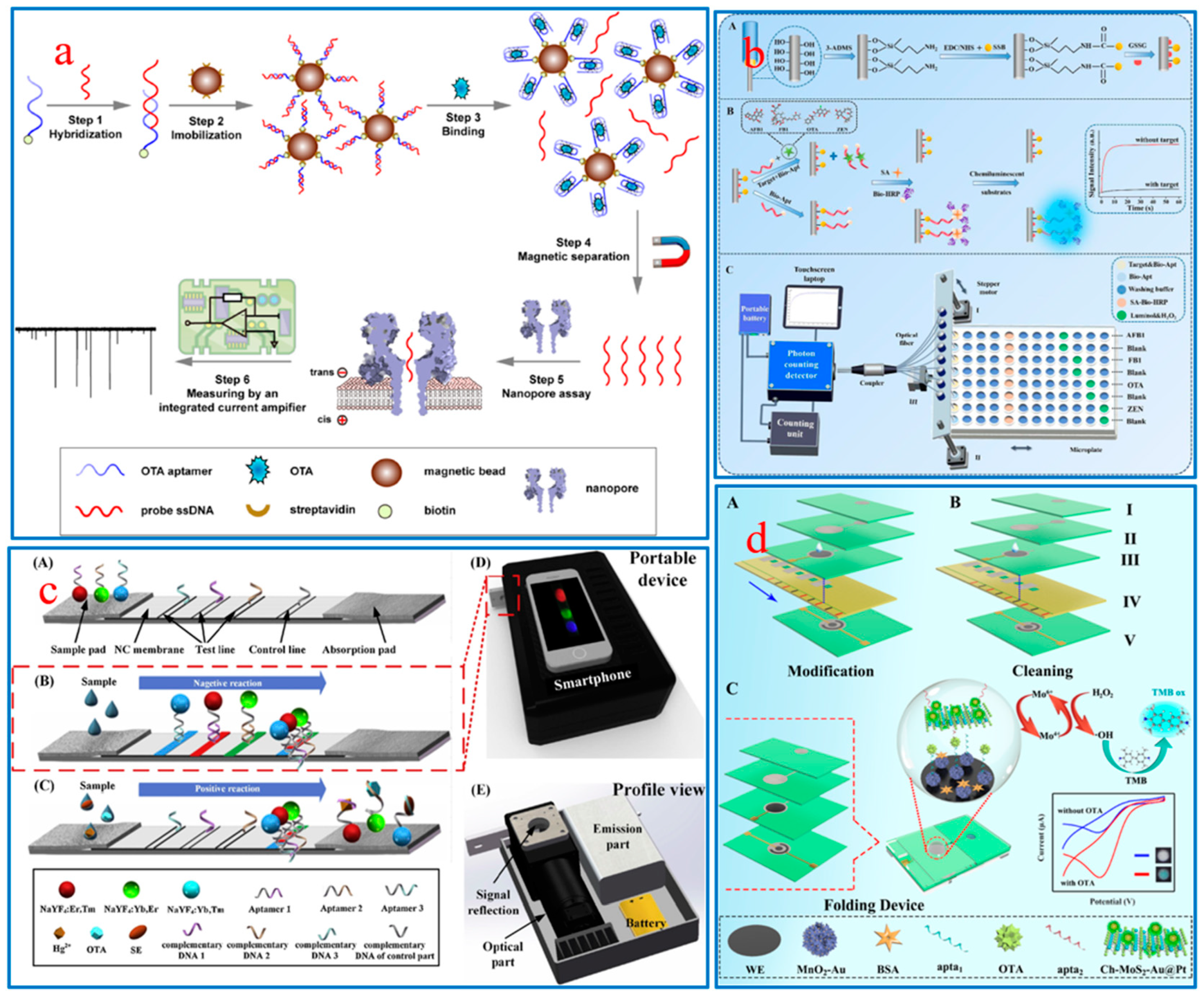Molecules 29 03974 g006