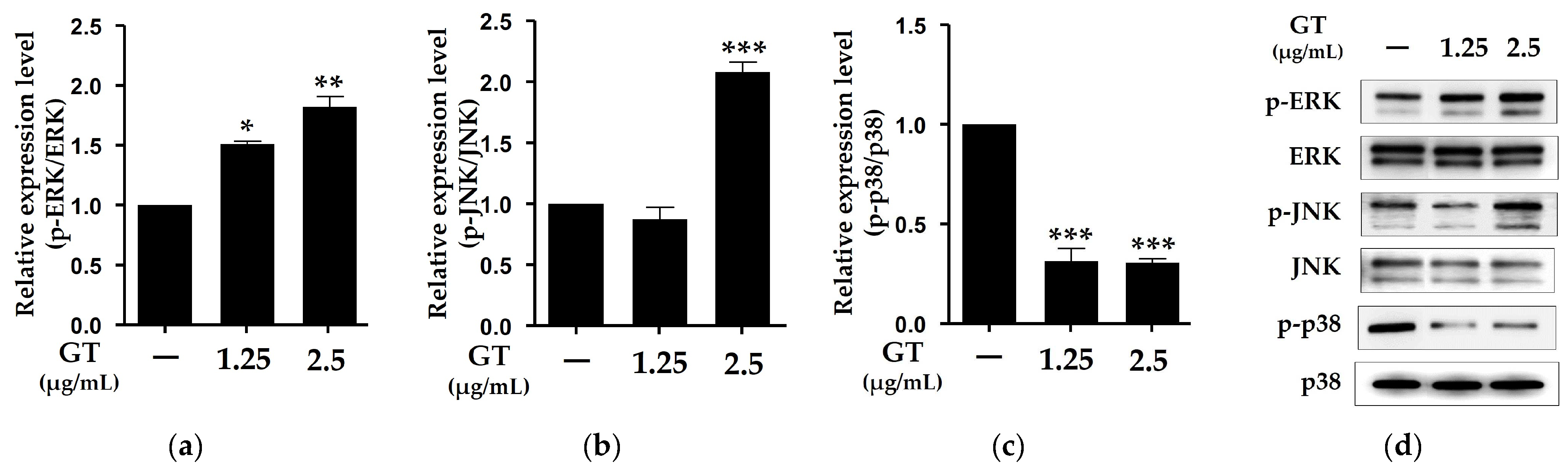 Molecules 29 03976 g004 Molecules 29 03976 g004
