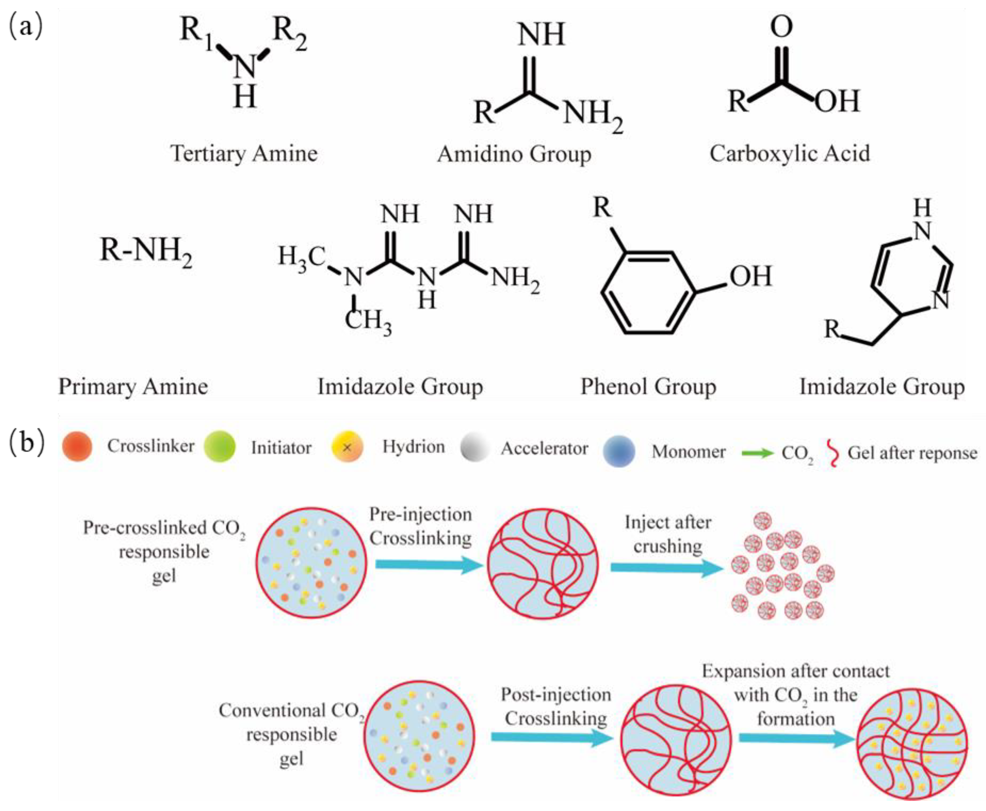 Molecules 29 03978 g006