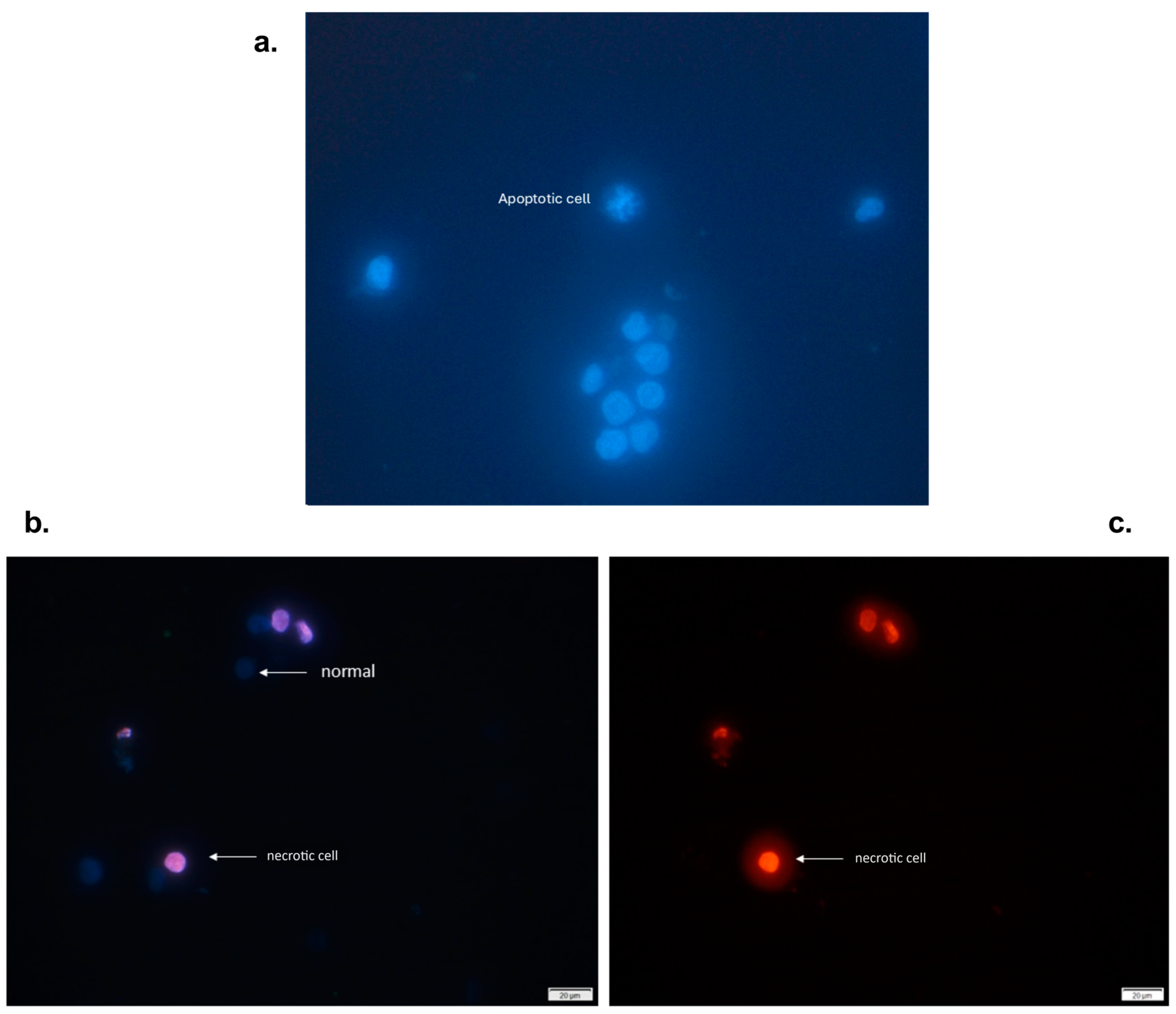 Molecules 29 03986 g002 Molecules 29 03986 g002