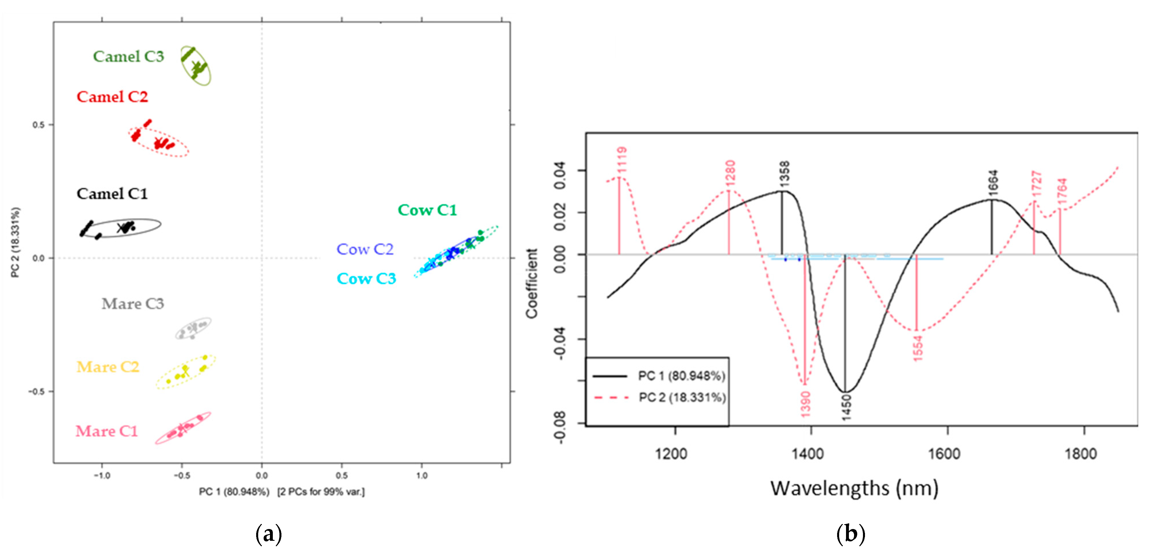 Molecules 29 03989 g002