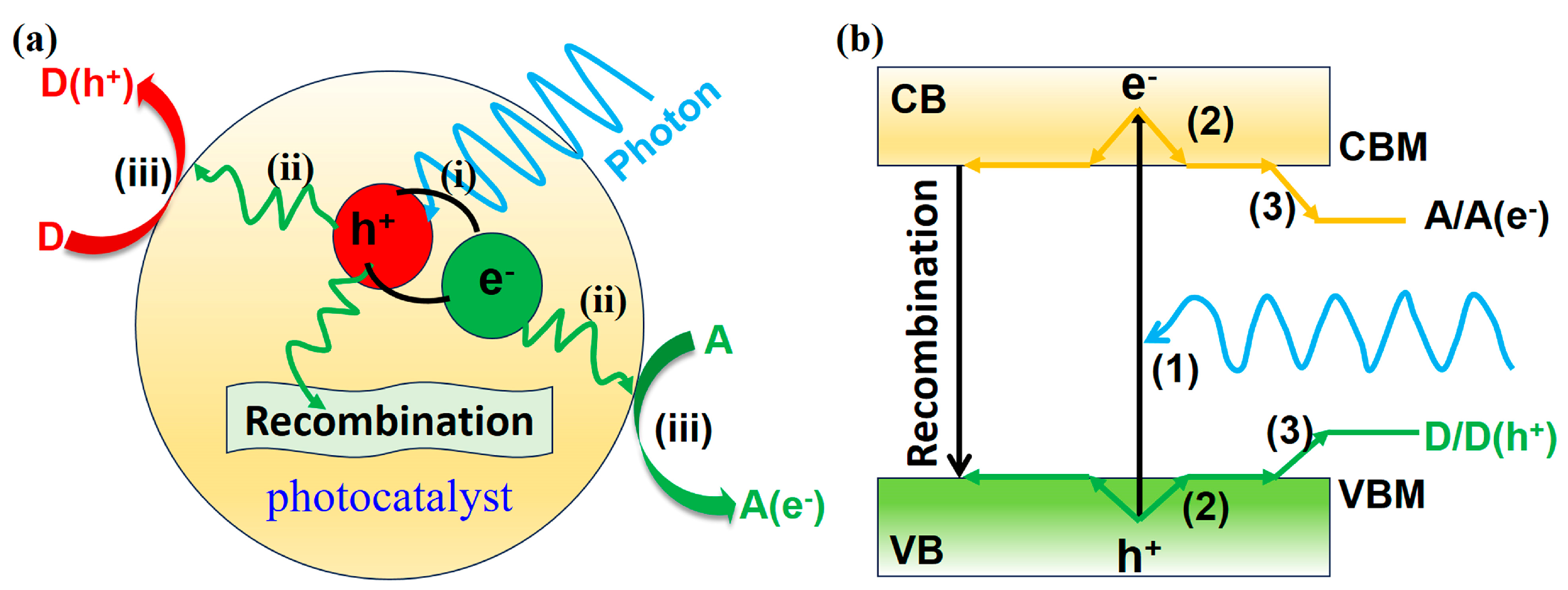Molecules 29 03995 g002