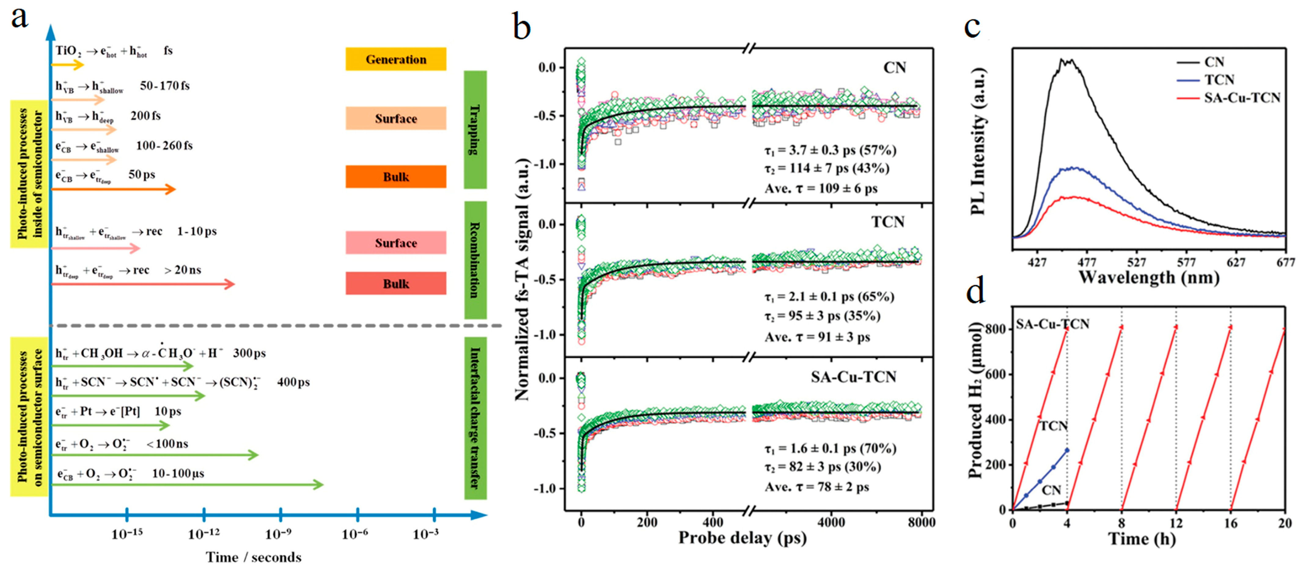 Molecules 29 03995 g003