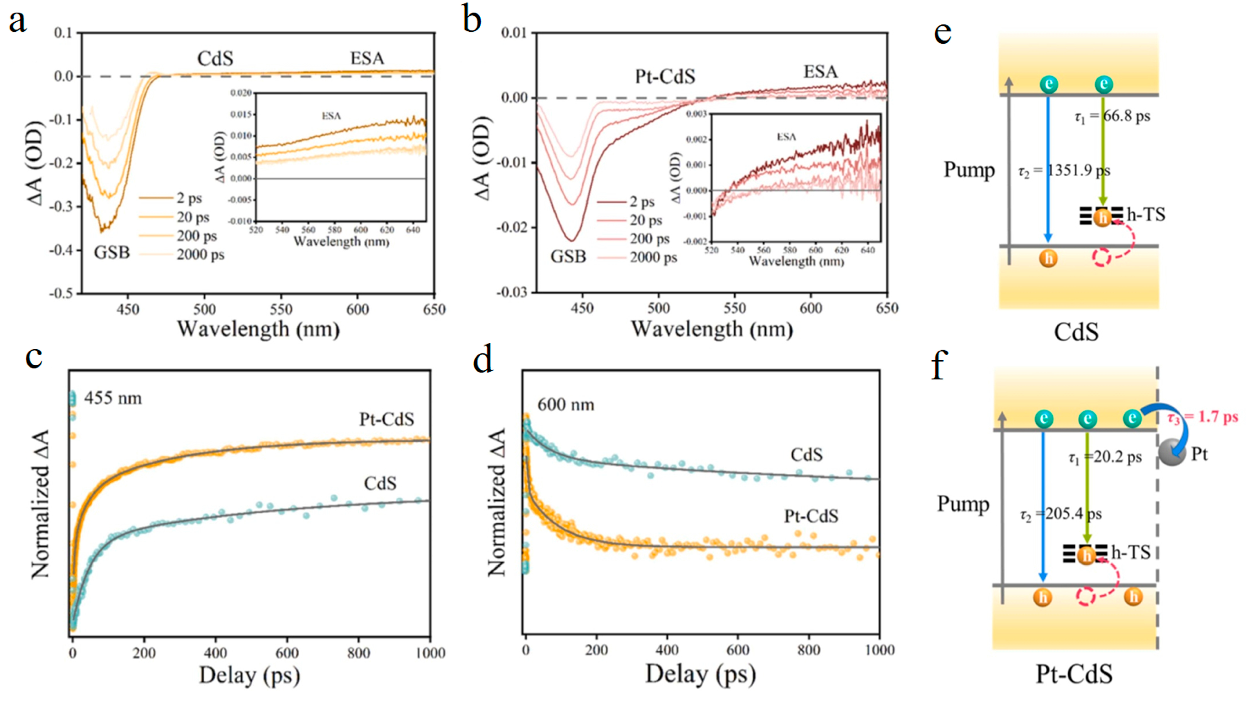 Molecules 29 03995 g005