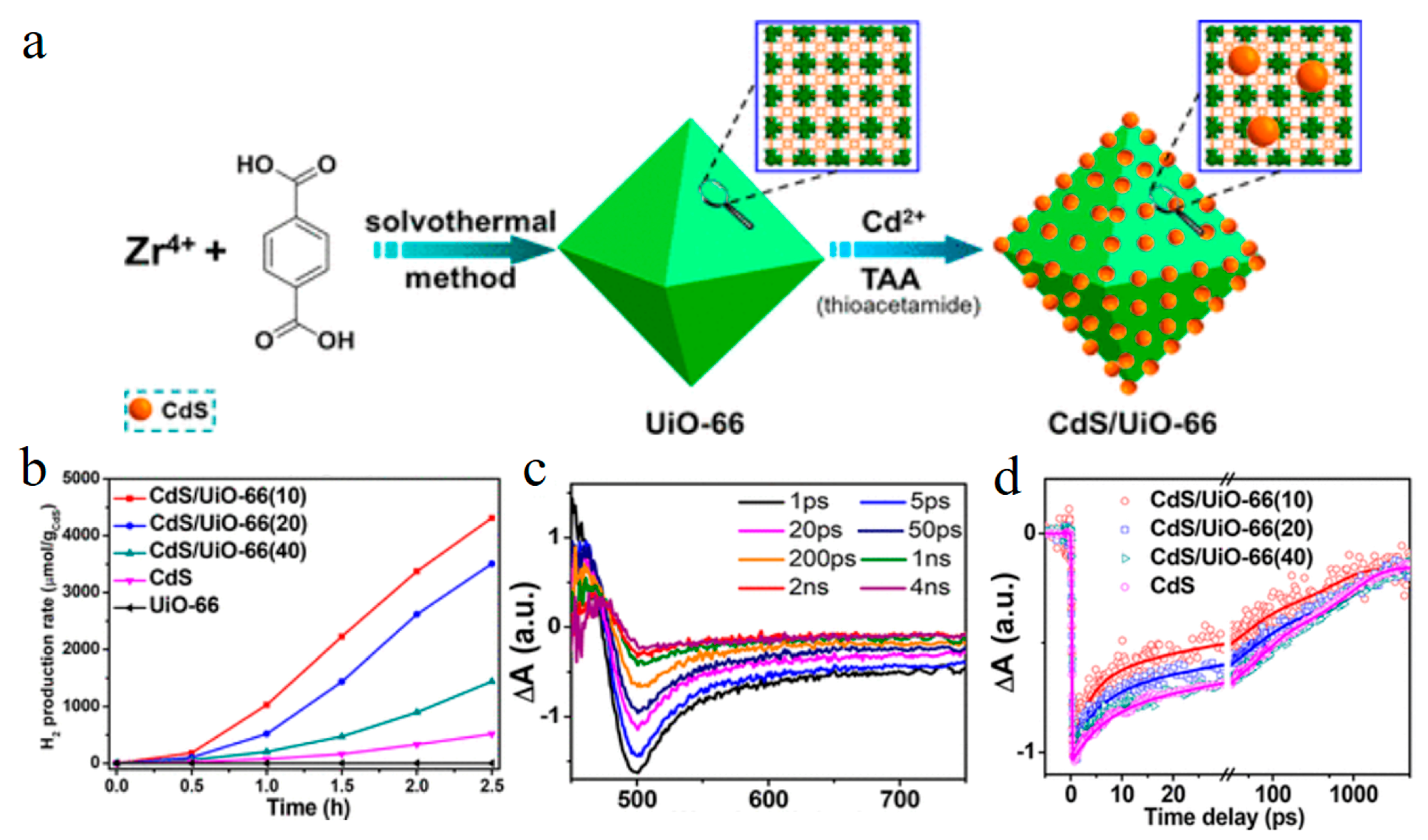 Molecules 29 03995 g006