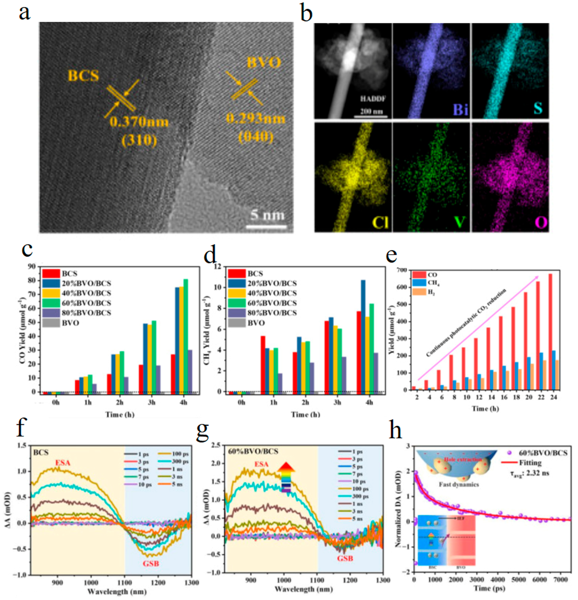 Molecules 29 03995 g007