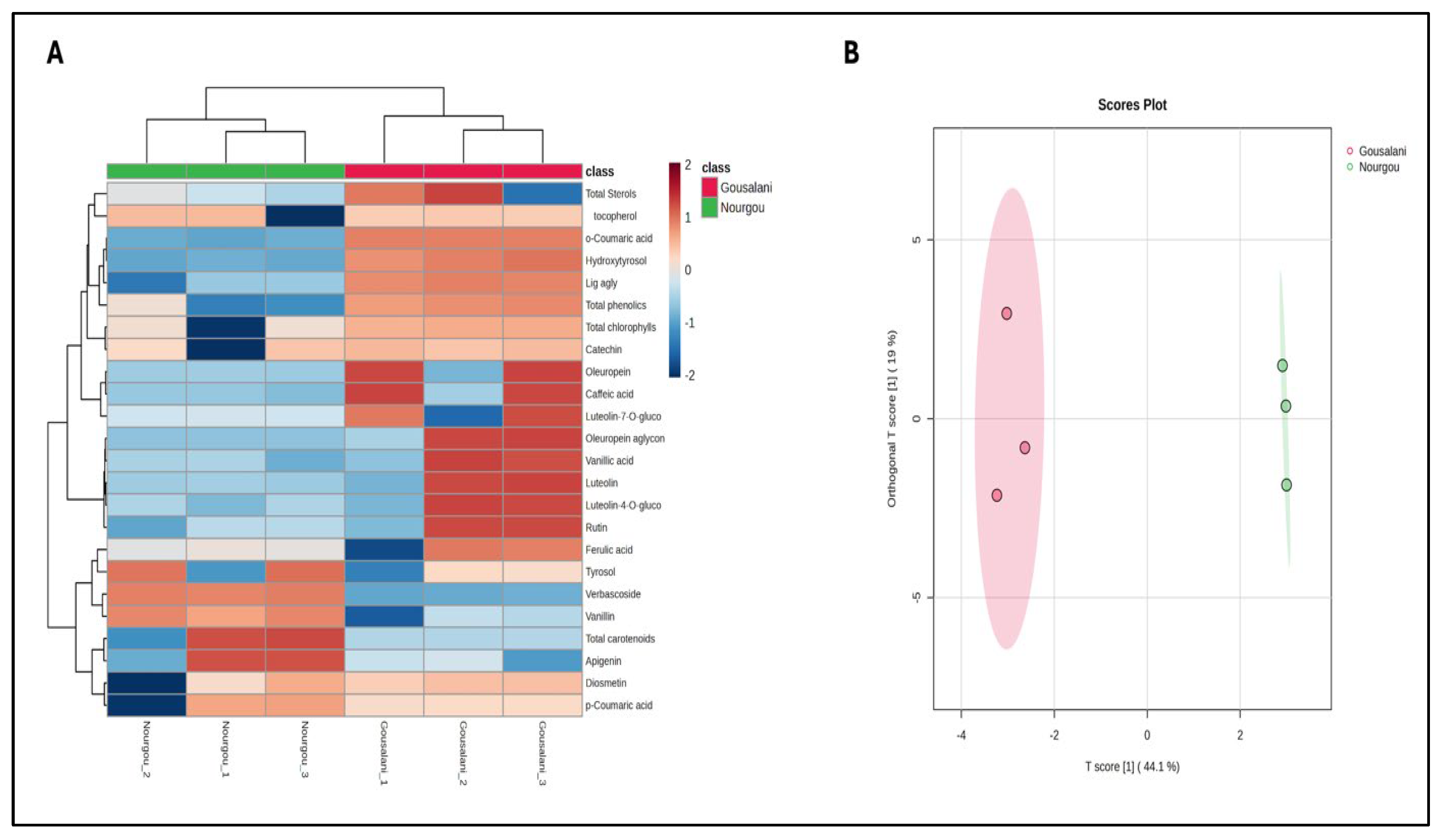 Molecules 29 03997 g001