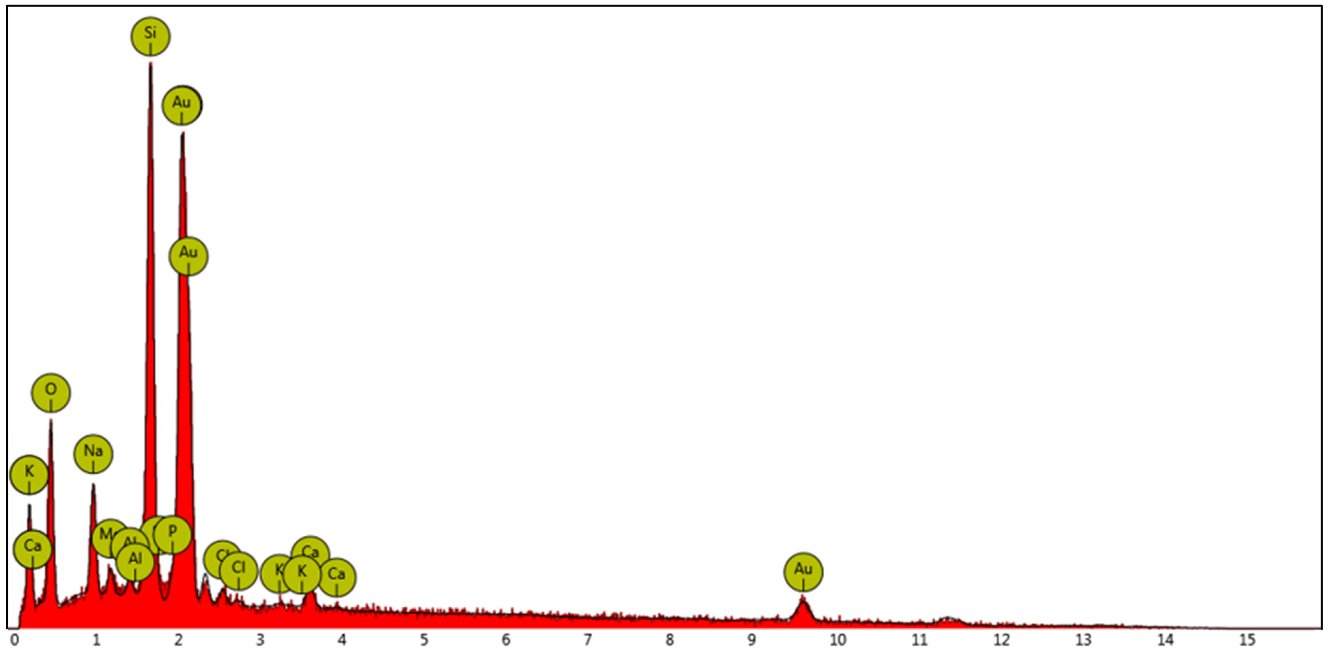 Molecules 29 03998 g001