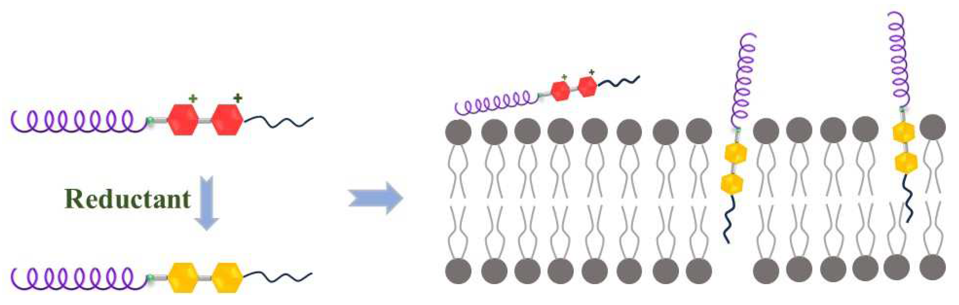 Molecules 29 04001 sch001
