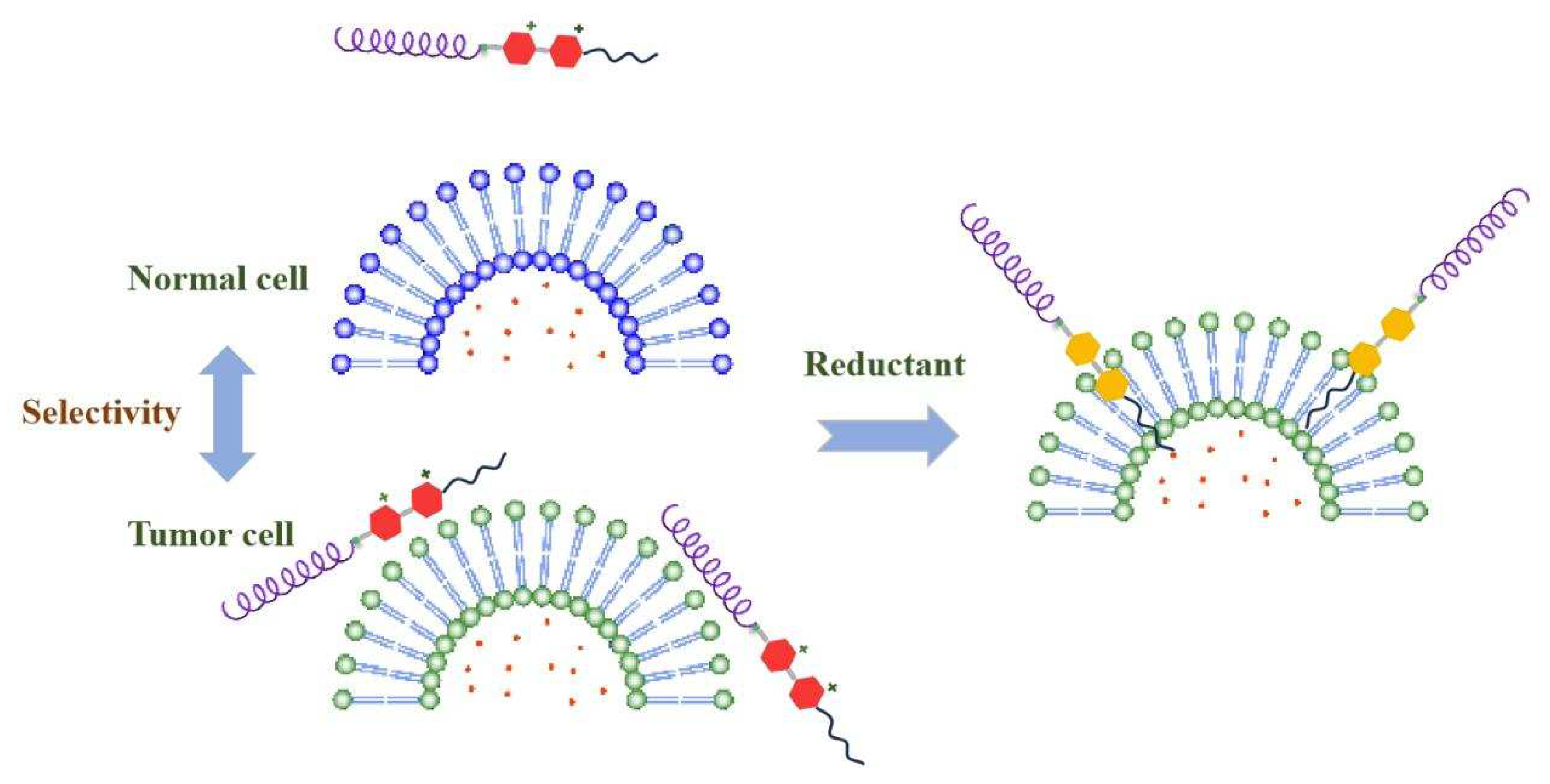 Molecules 29 04001 sch002