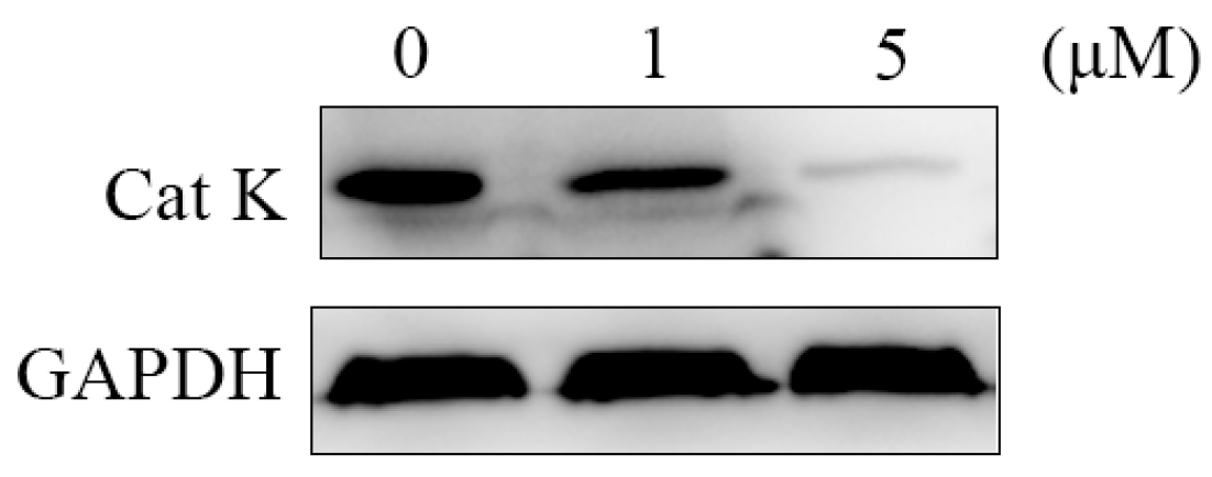 Molecules 29 04011 g006