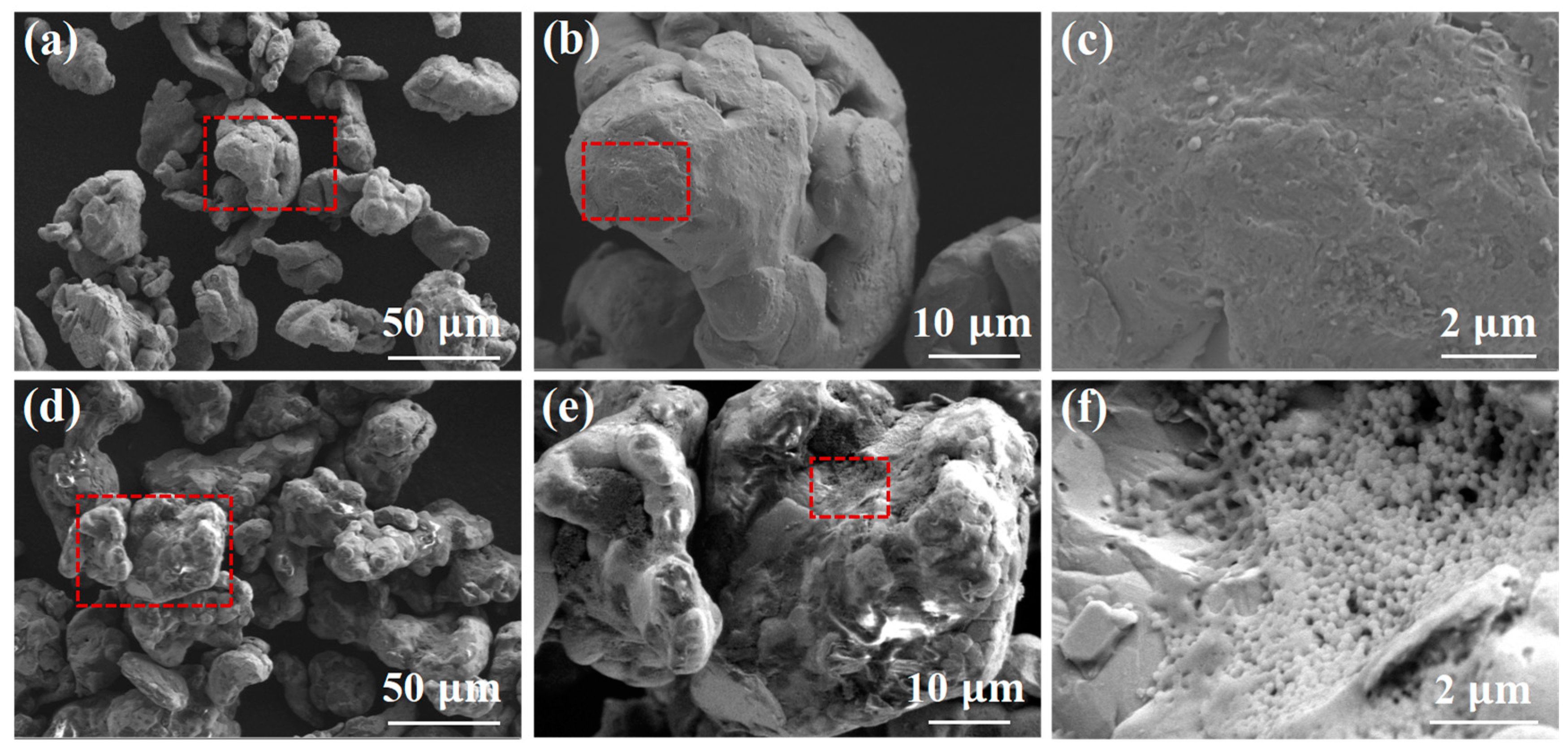 Molecules 29 04019 g001