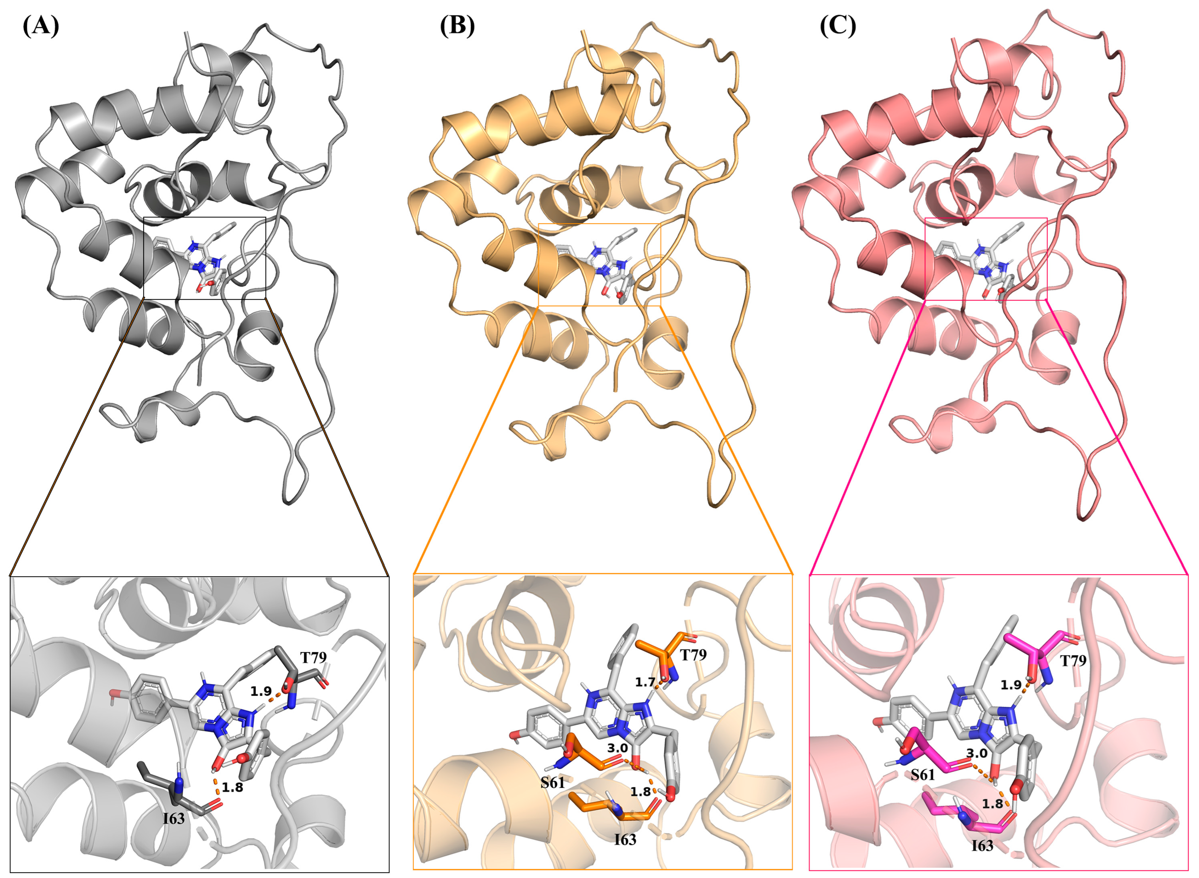 Molecules 29 04029 g001