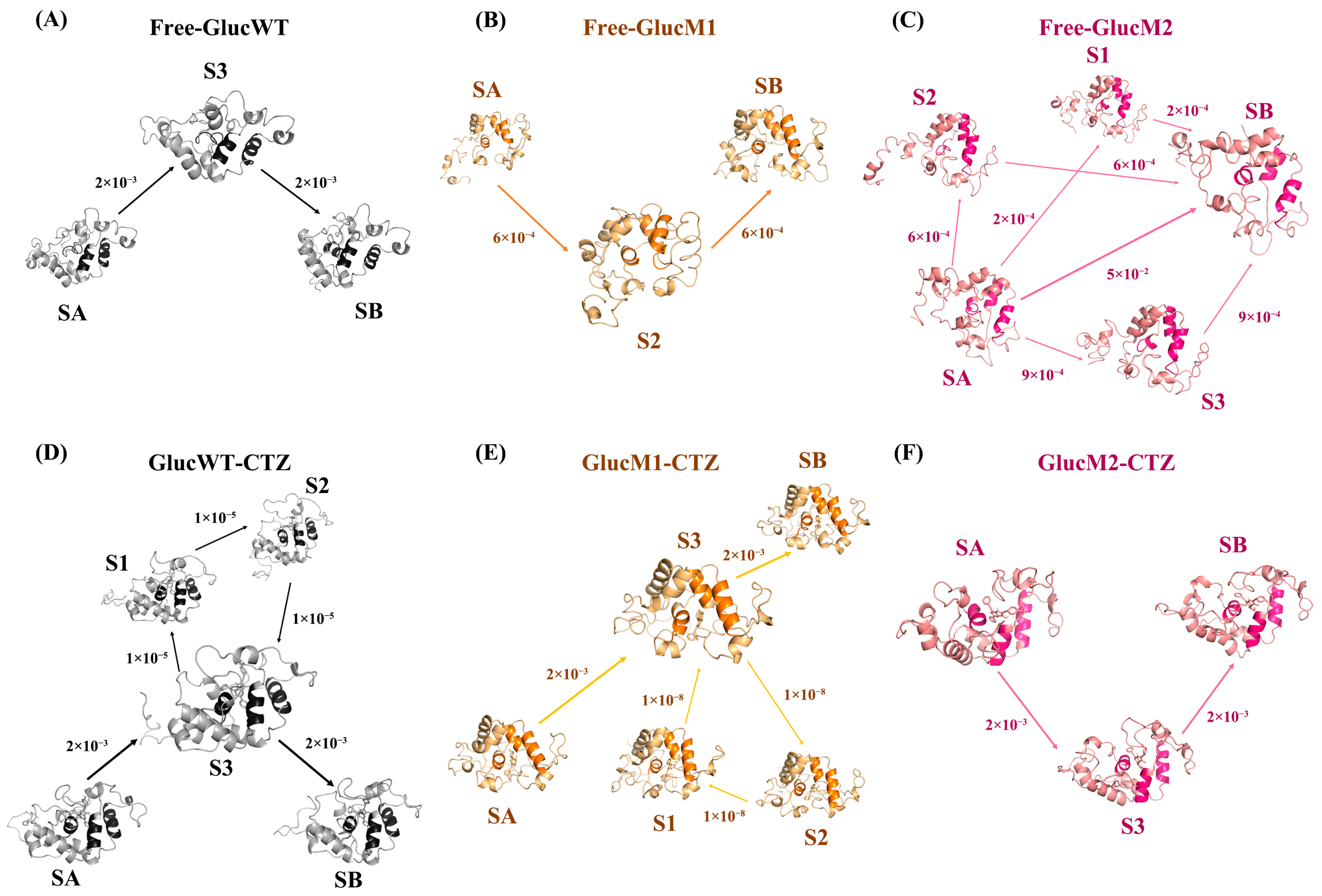 Molecules 29 04029 g007