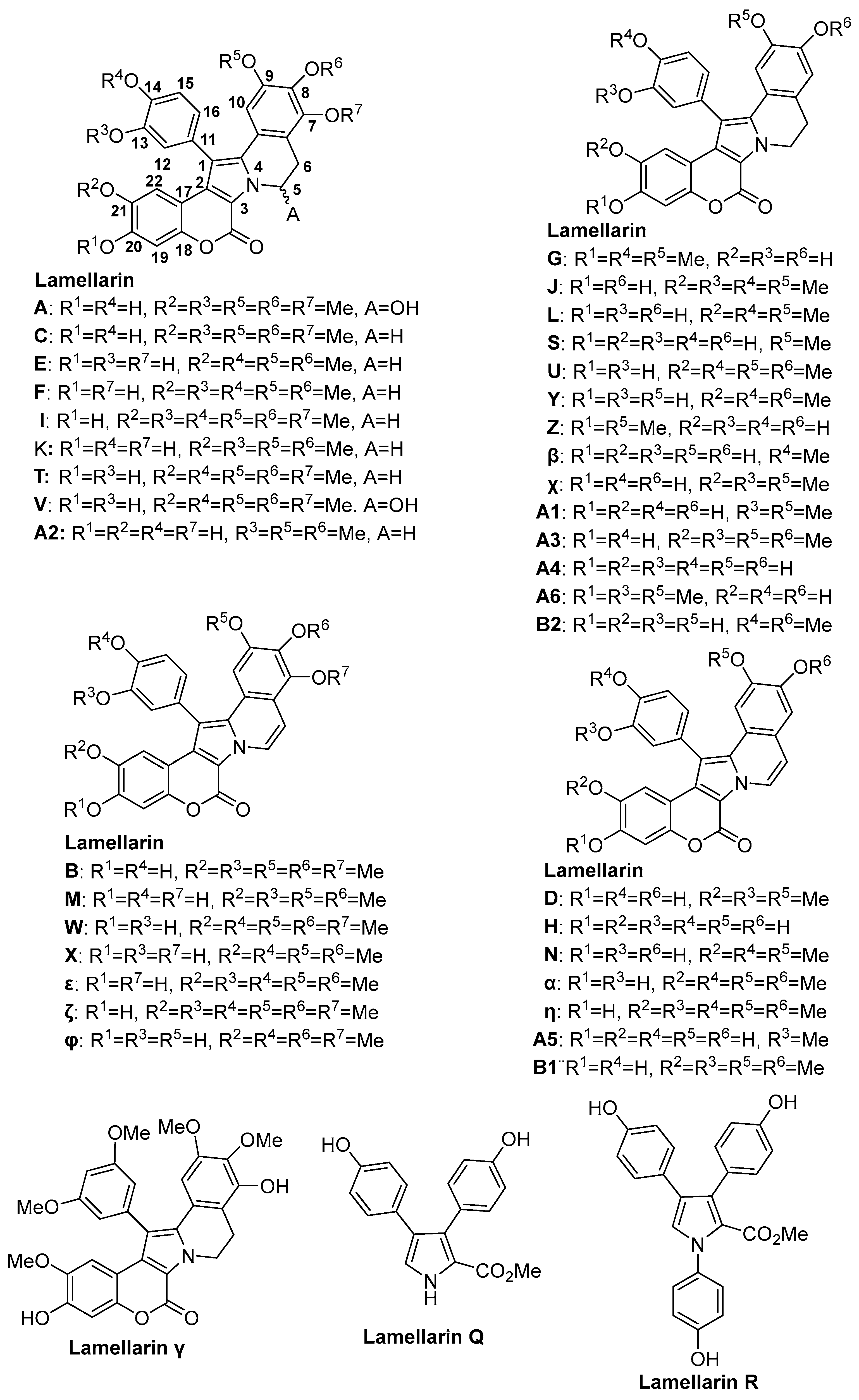 Molecules 29 04032 g001
