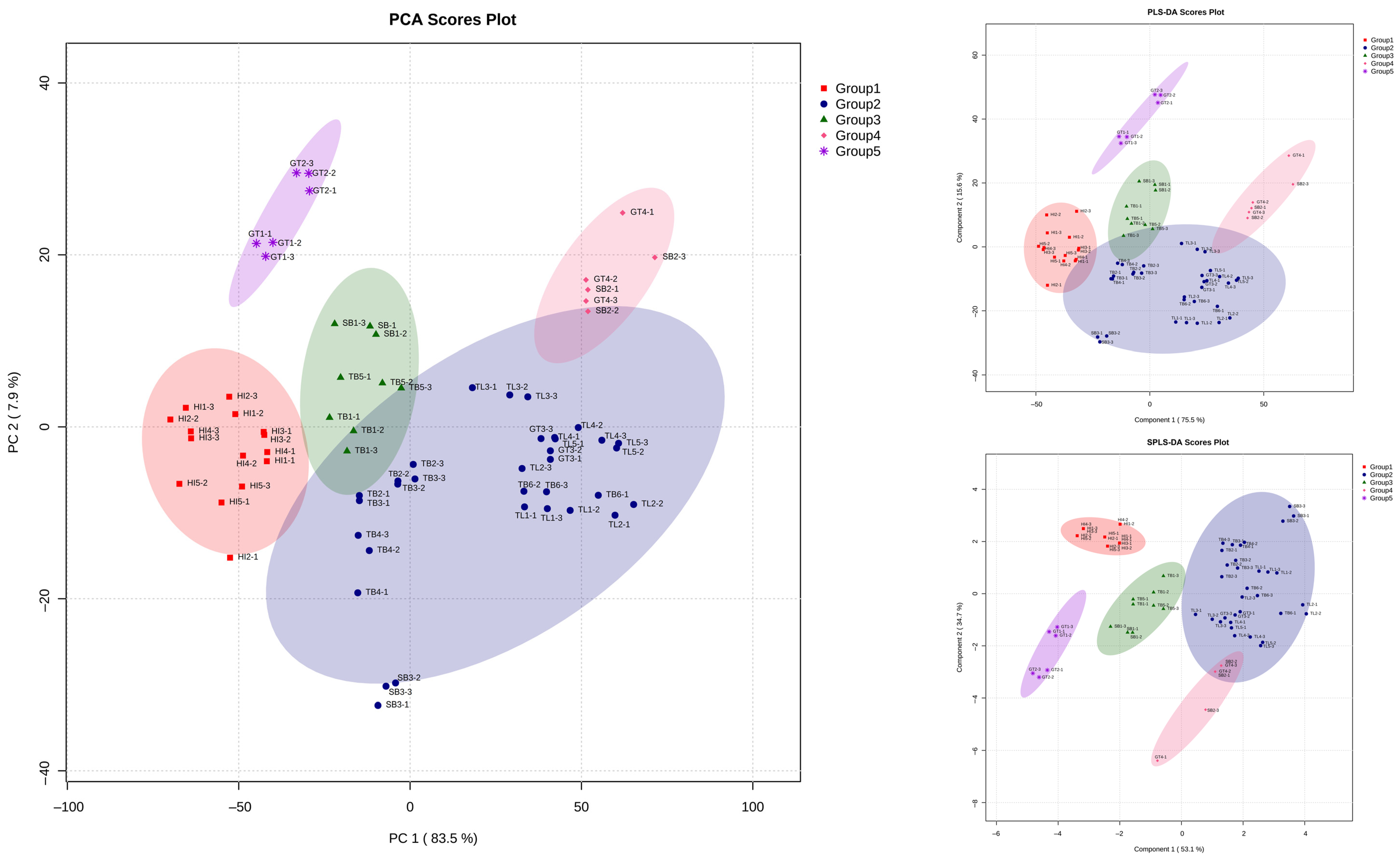 Molecules 29 04037 g005