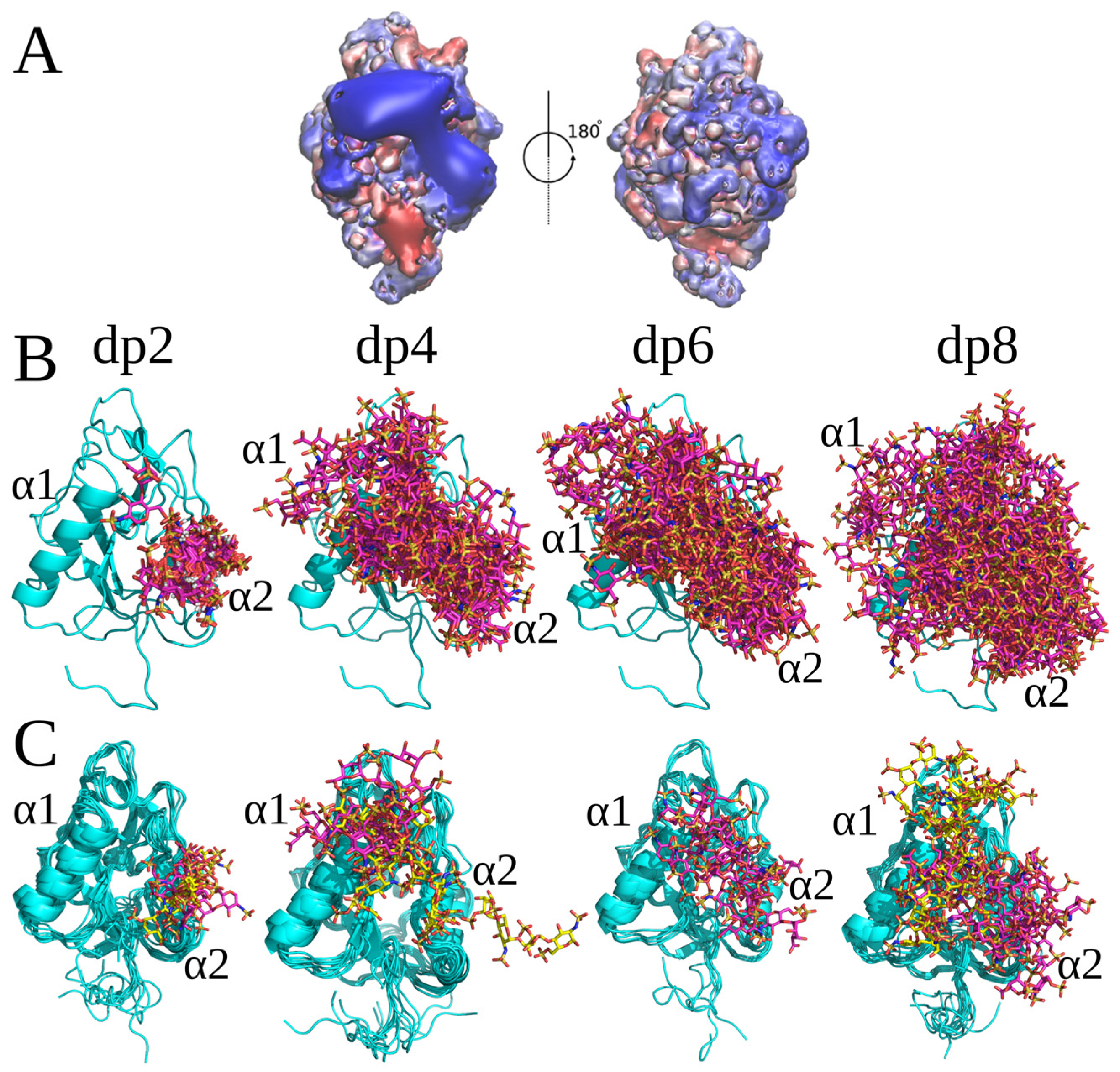 Molecules 29 04040 g001 Molecules 29 04040 g001