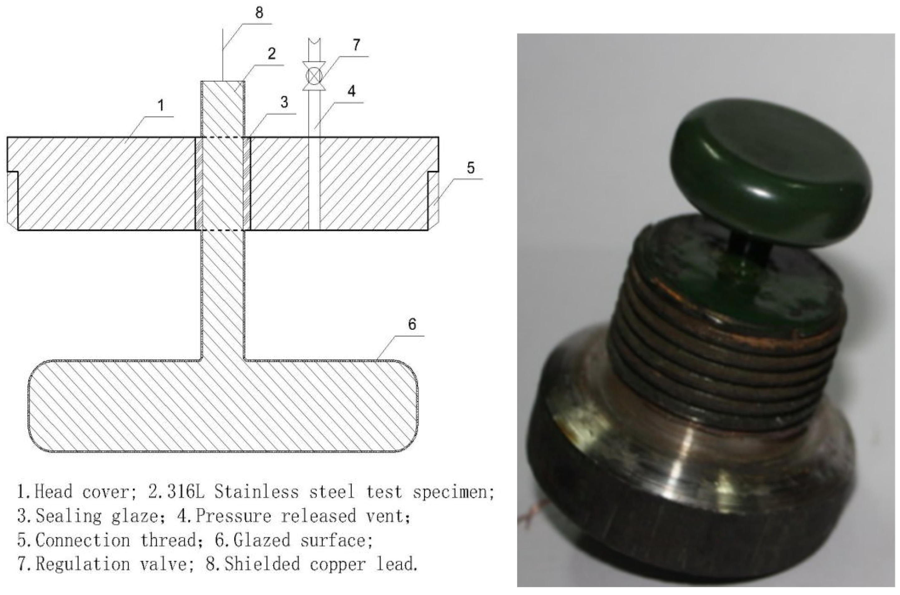Molecules 29 04046 g002