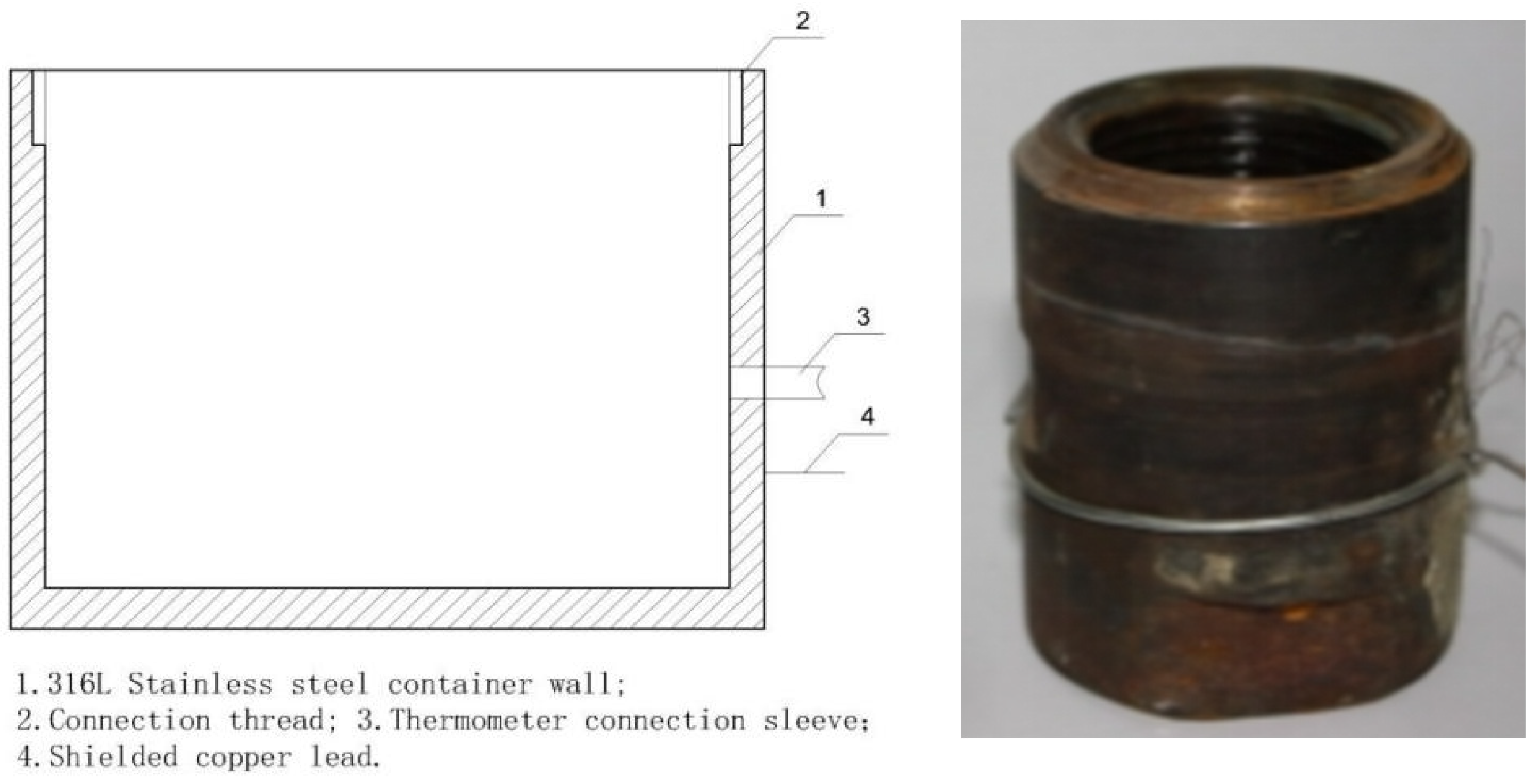 Molecules 29 04046 g006