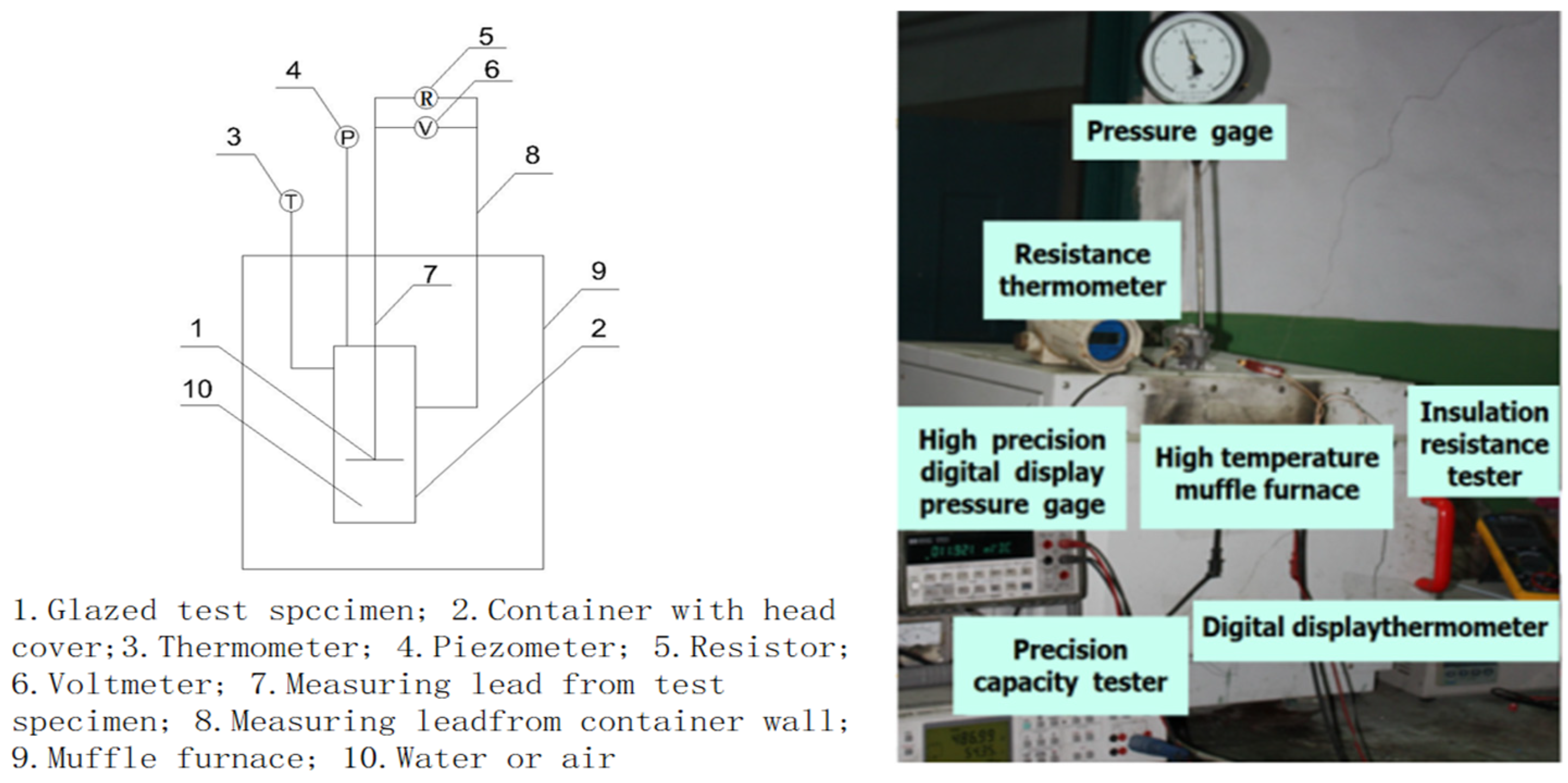 Molecules 29 04046 g007