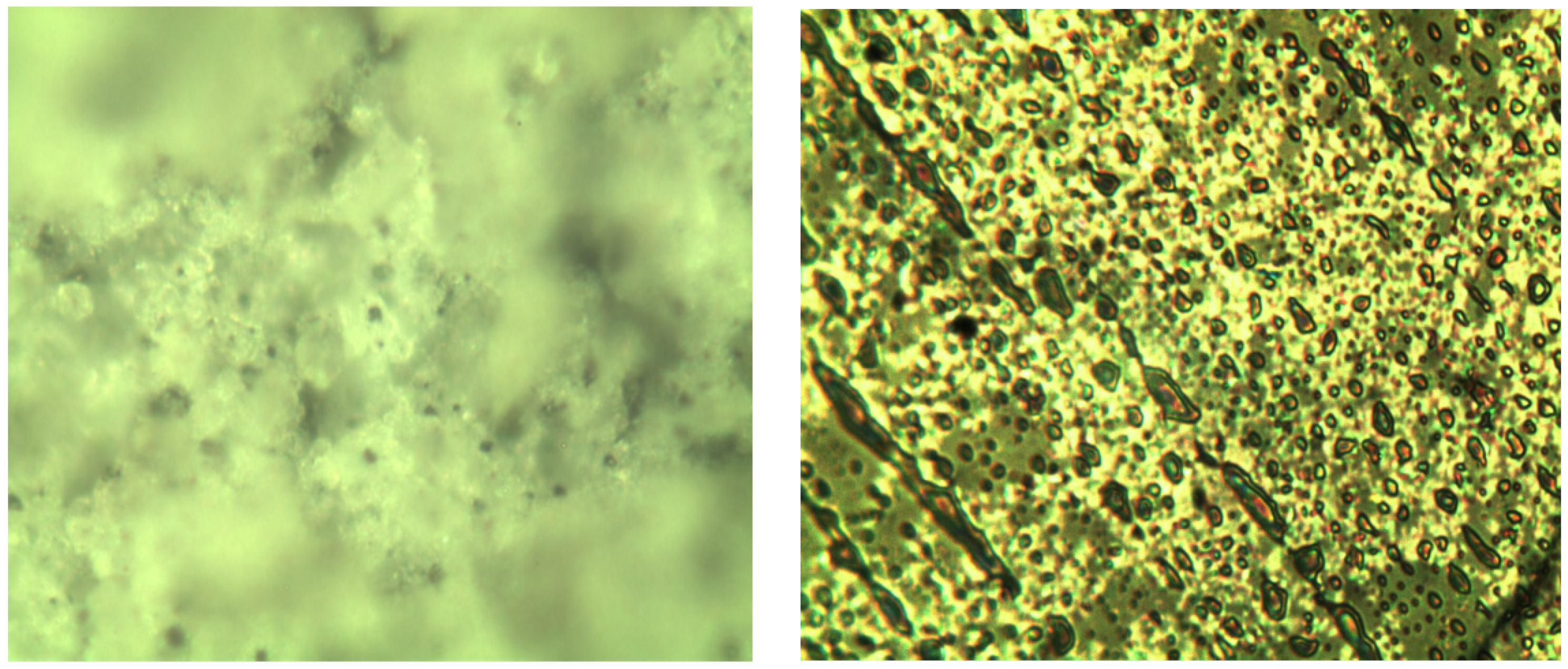 Molecules 29 04046 g010