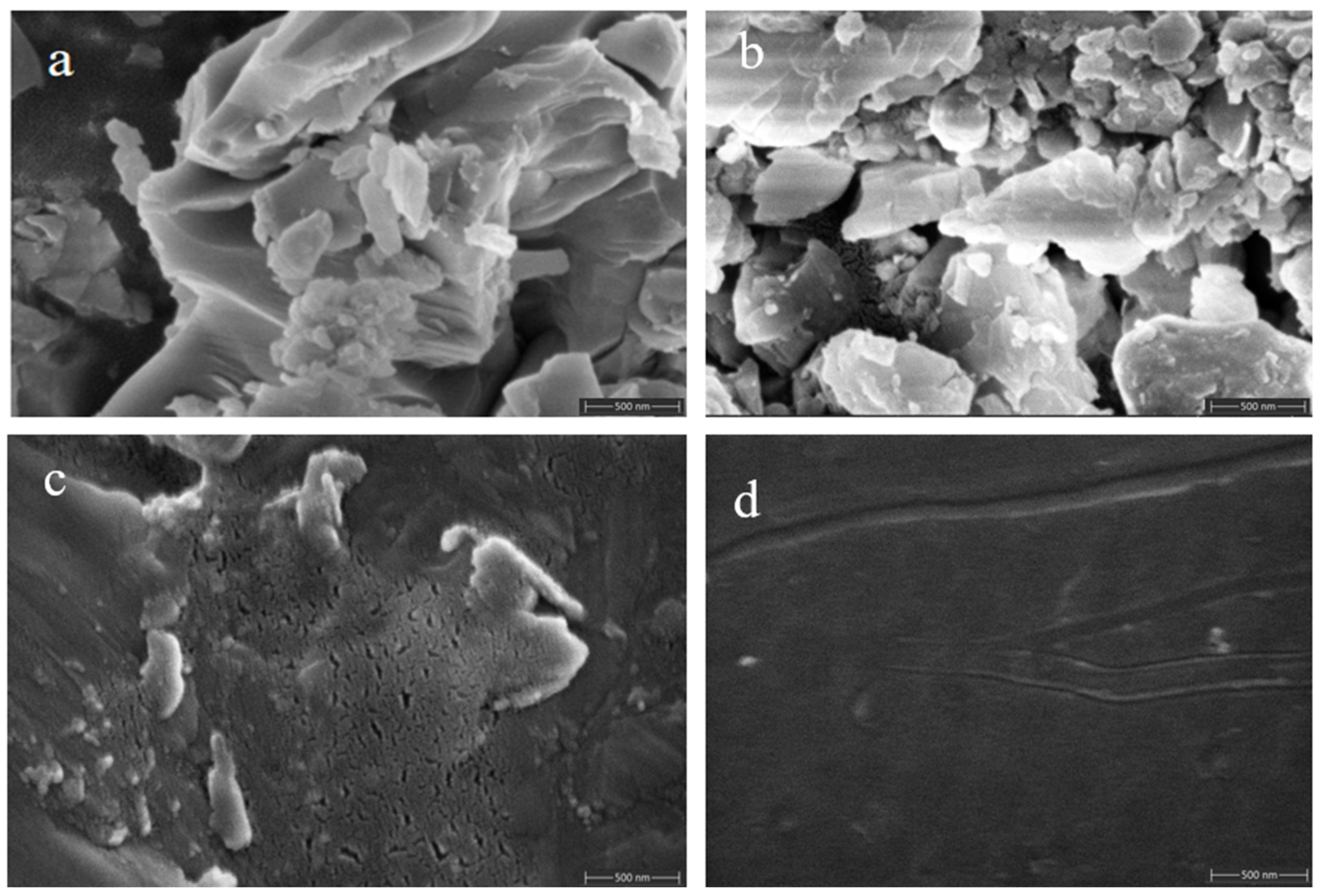 Molecules 29 04046 g012