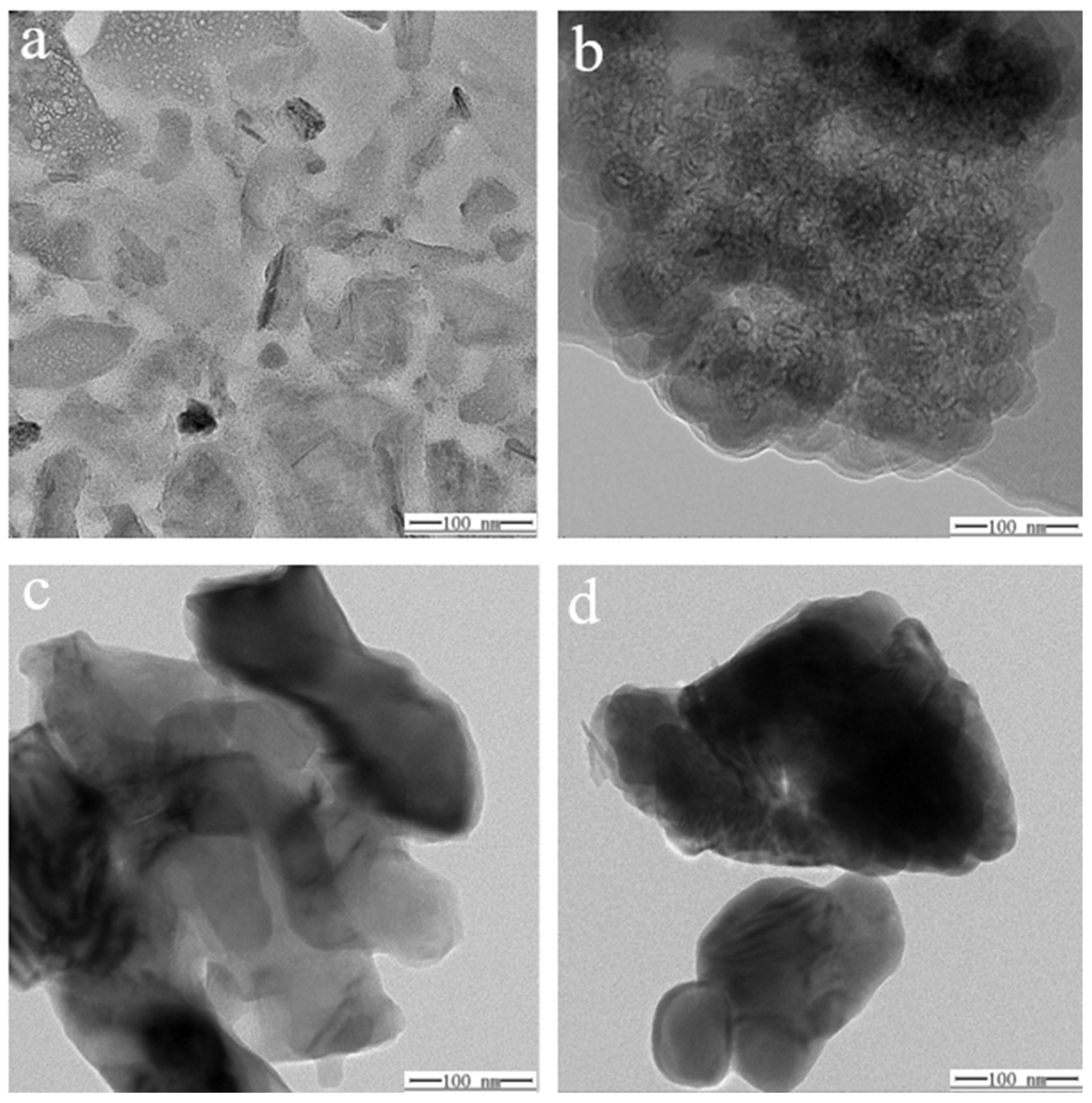Molecules 29 04046 g013