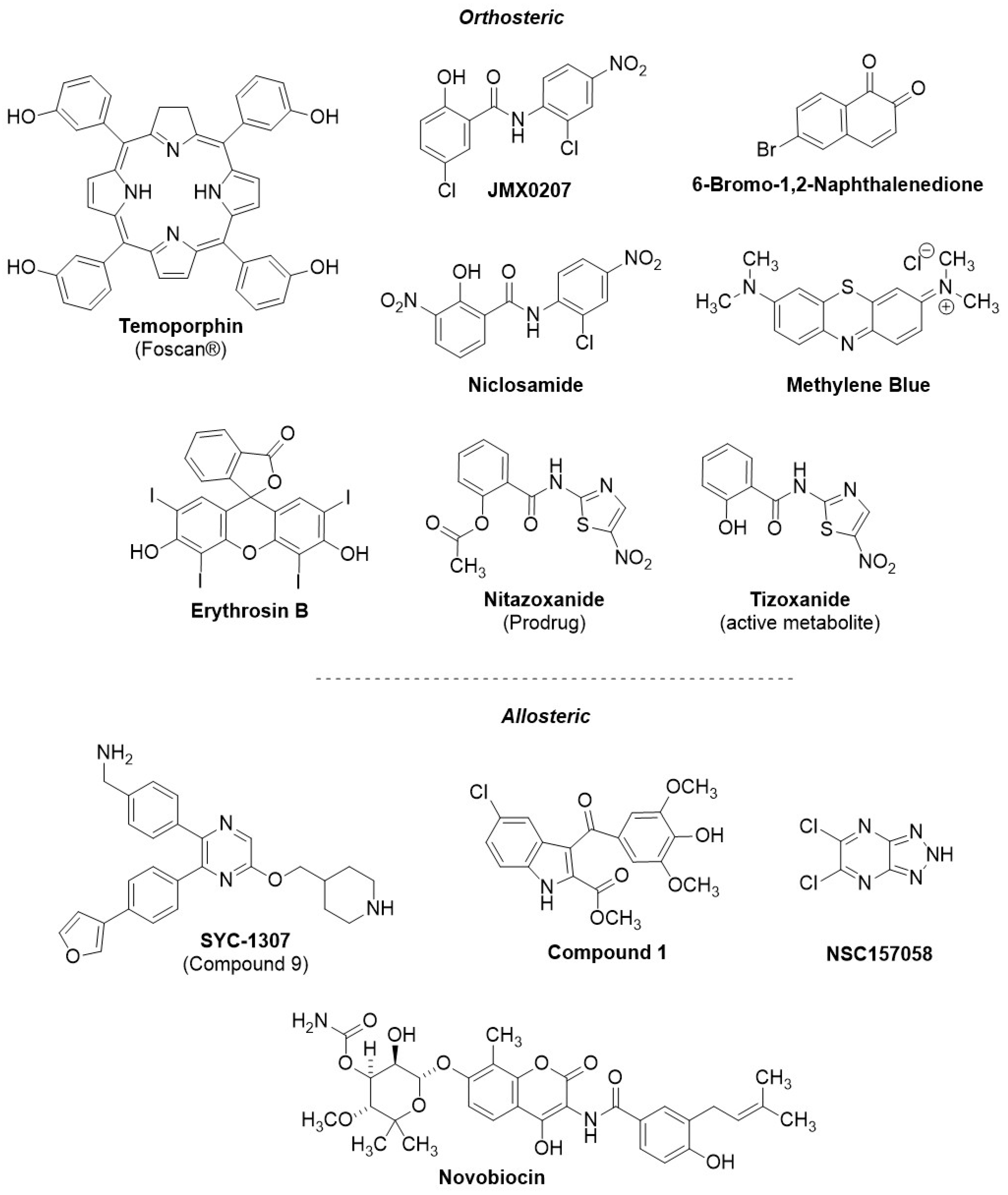 Molecules 29 04047 g007