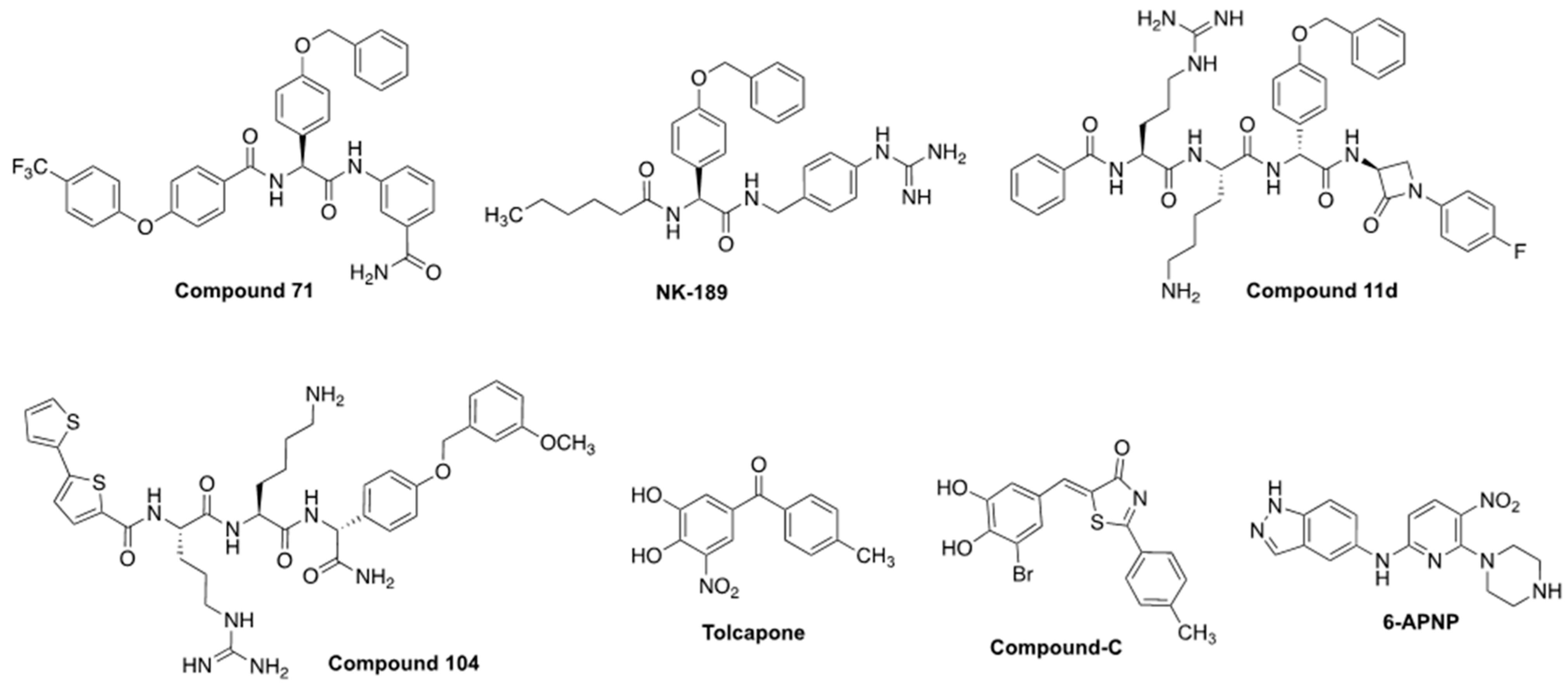 Molecules 29 04047 g008