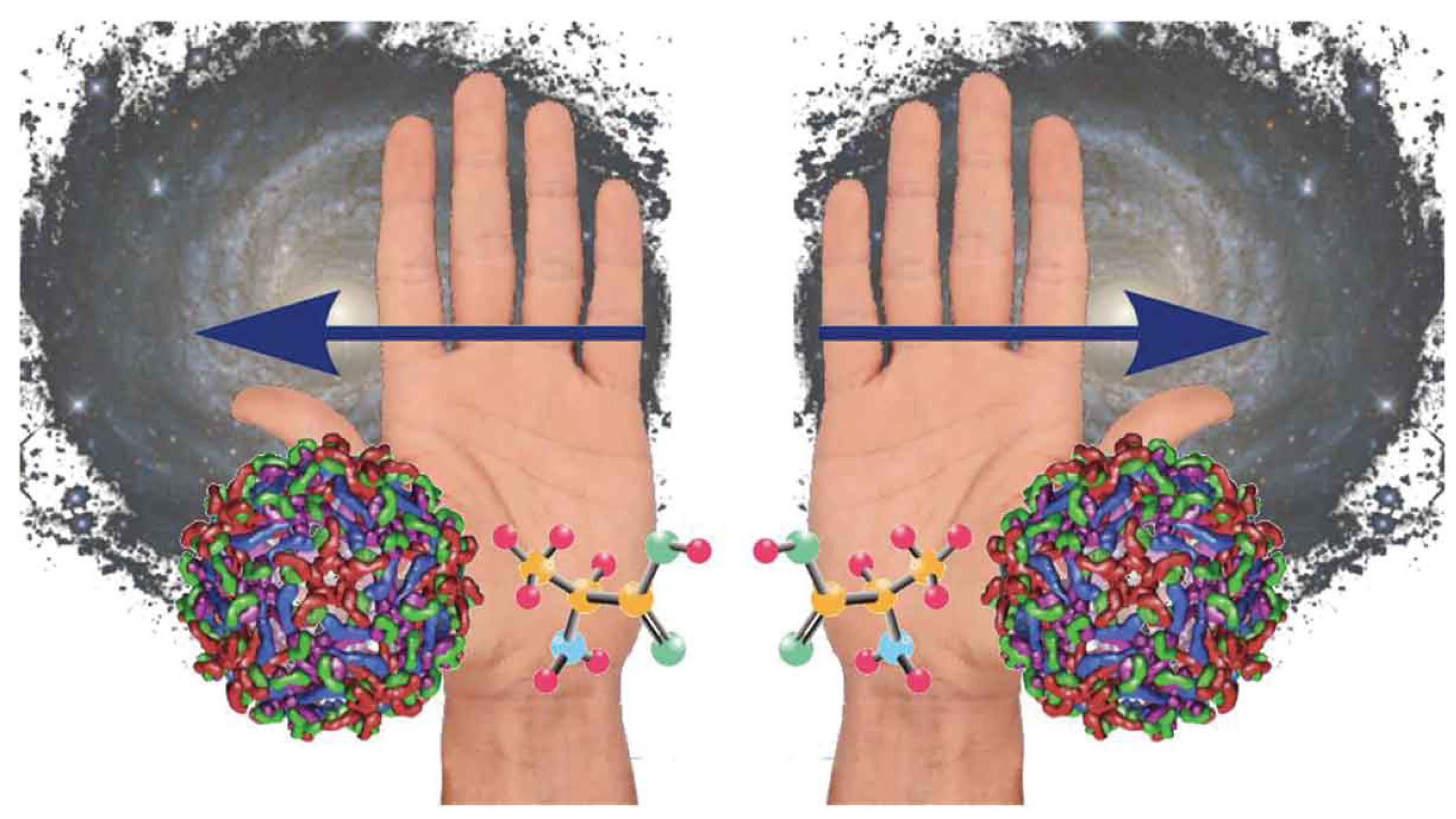 Molecules 29 04049 g001