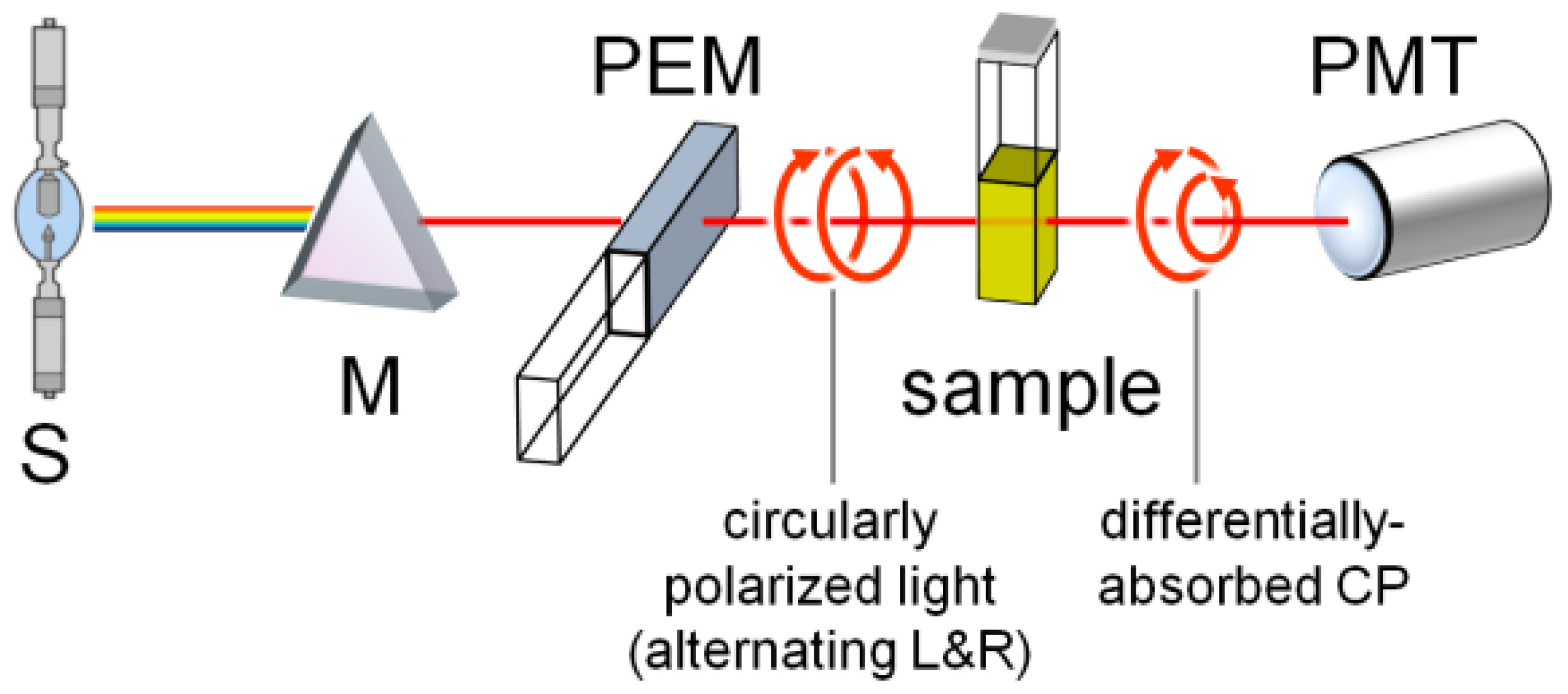 Molecules 29 04049 g002